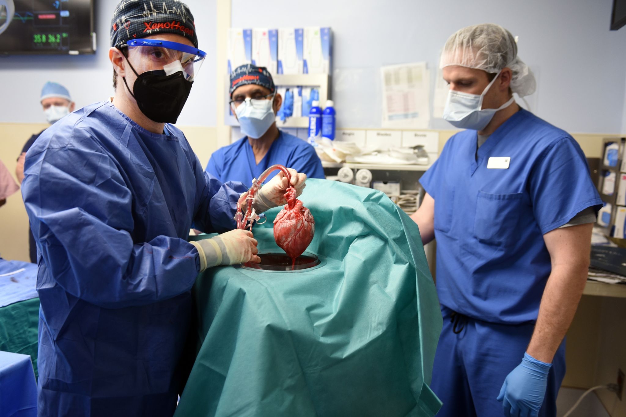Erster Transplantationspatient mit Schweineherz gestorben
