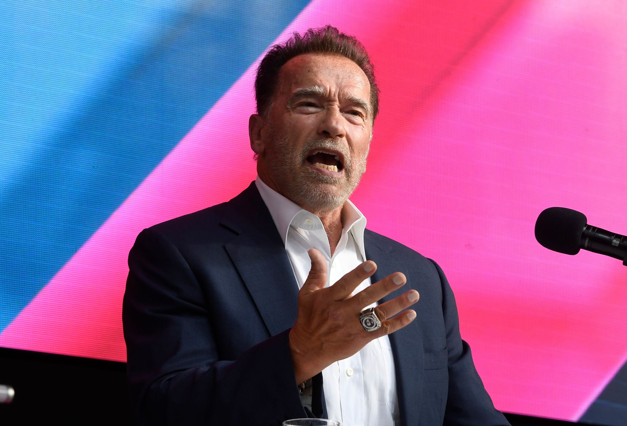 Schwarzenegger ruft Russen zum Kampf gegen Propaganda auf