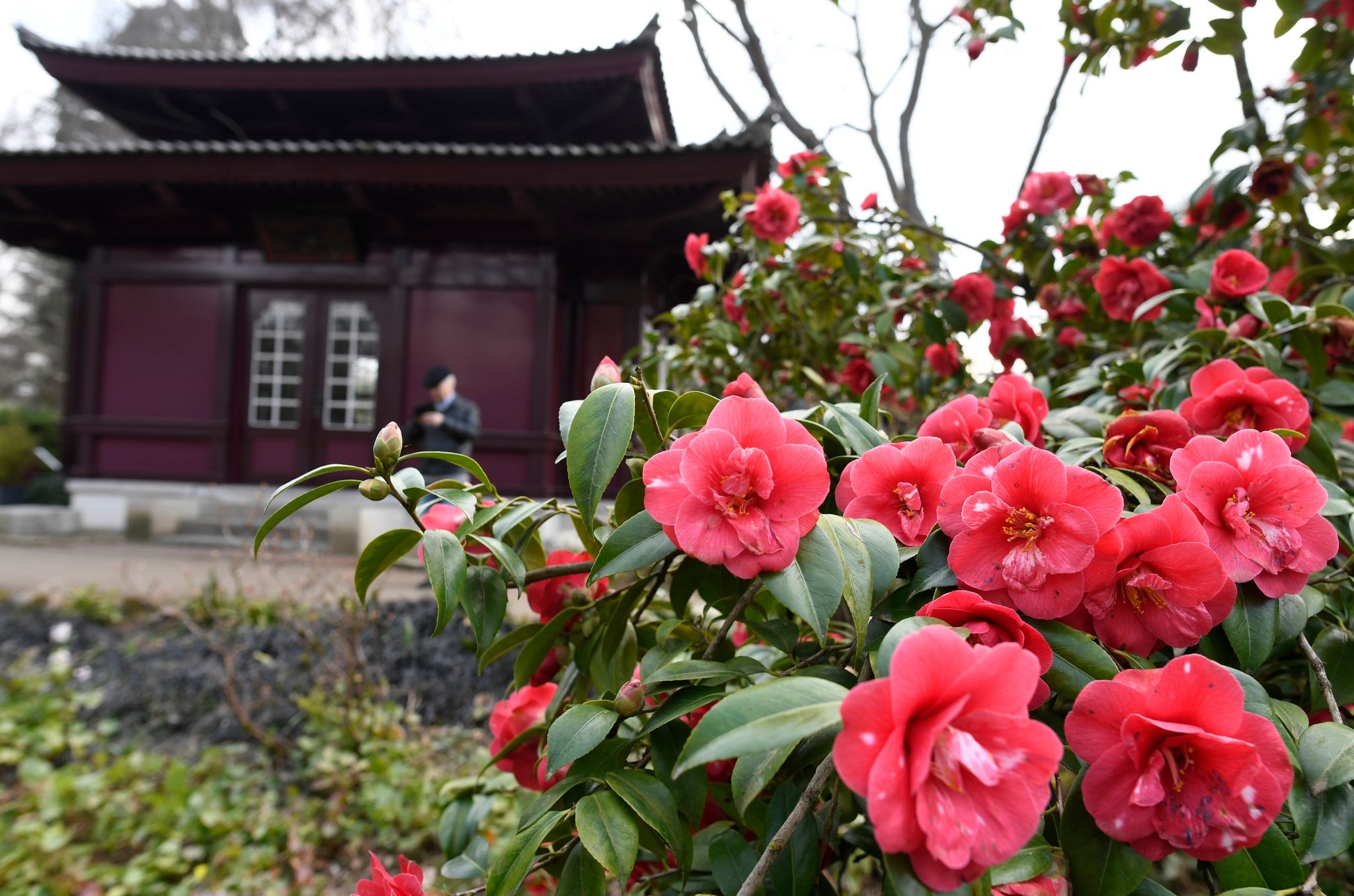 Temperaturen bis 20 Grad erwartet