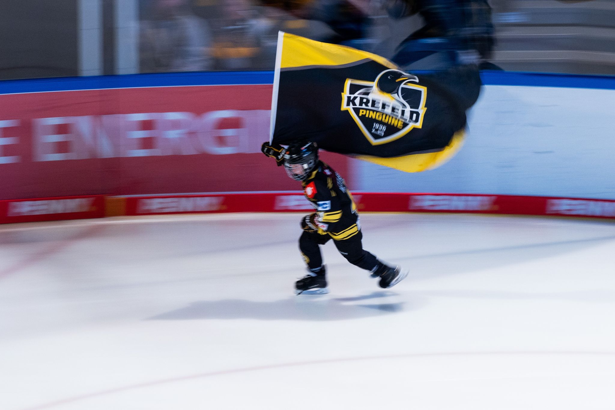 Sommertheater droht nach Krefelds Abstieg: Pinguine klagen