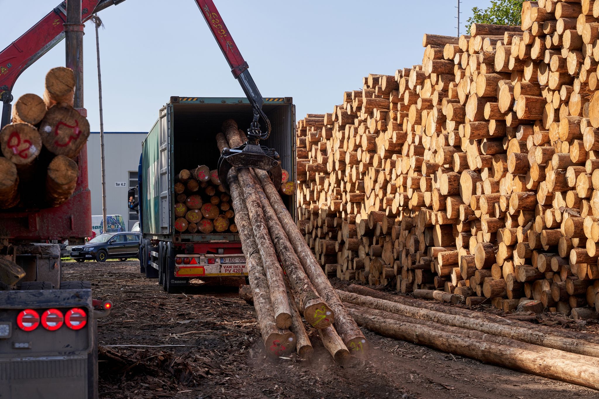 Erzeugerpreise für Rohholz deutlich gestiegen