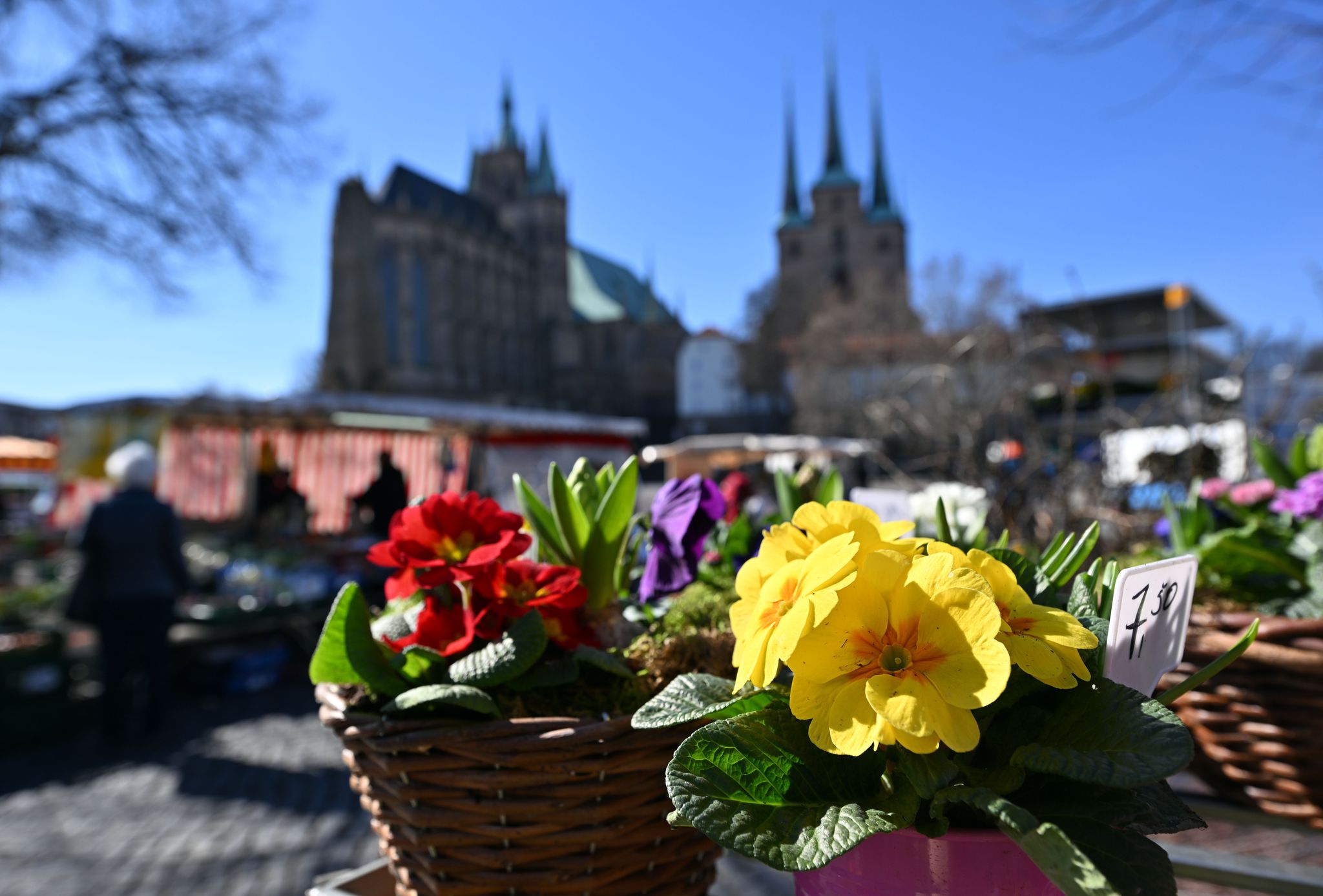 Frühlingshafte Temperaturen und Pollenflug