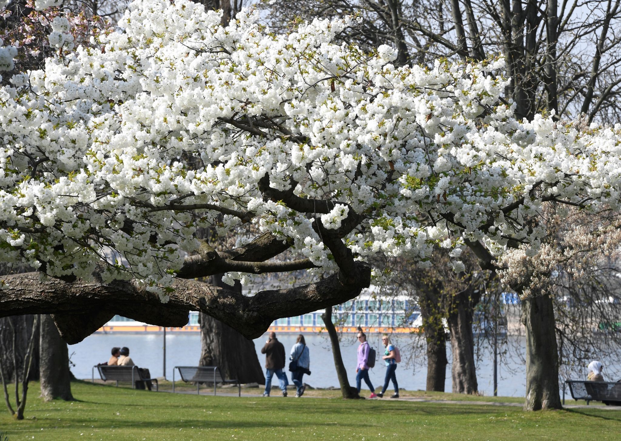 Am Sonntag nochmal Sonne tanken – Hoch «Peter» macht schlapp