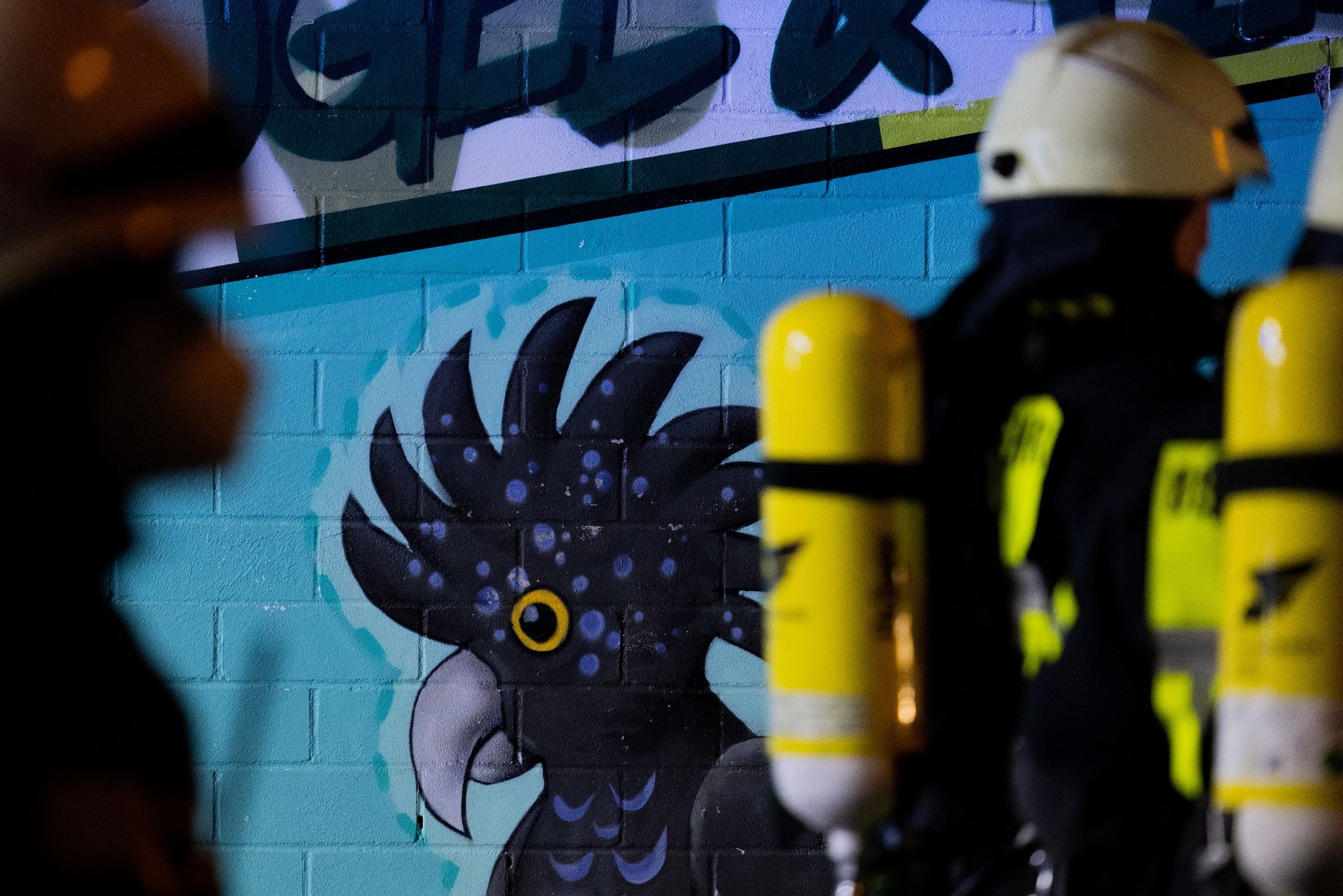 Mehr als 130 Tiere bei Brand im Kölner Zoo getötet