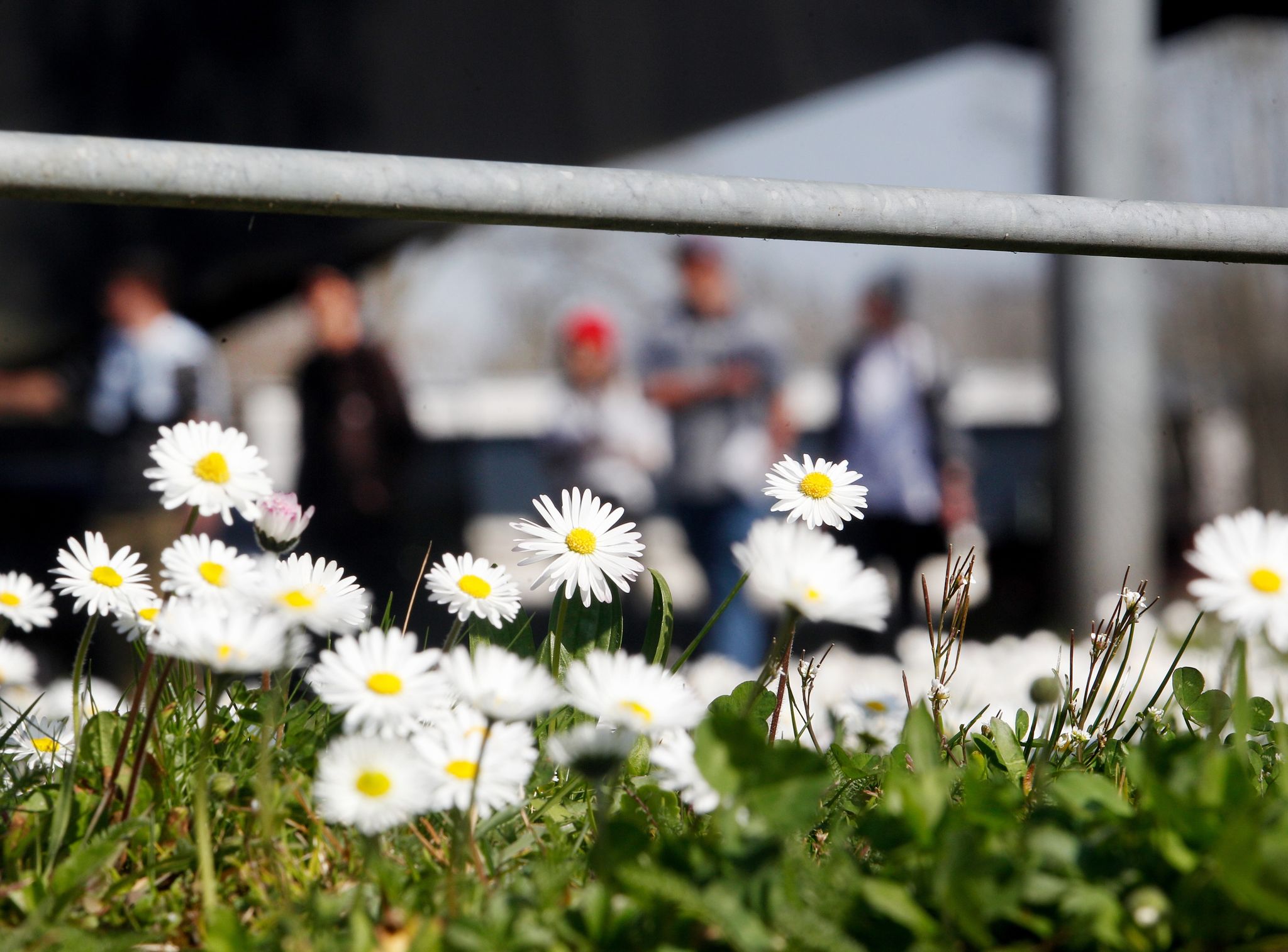 «Peter» bringt viel Sonne