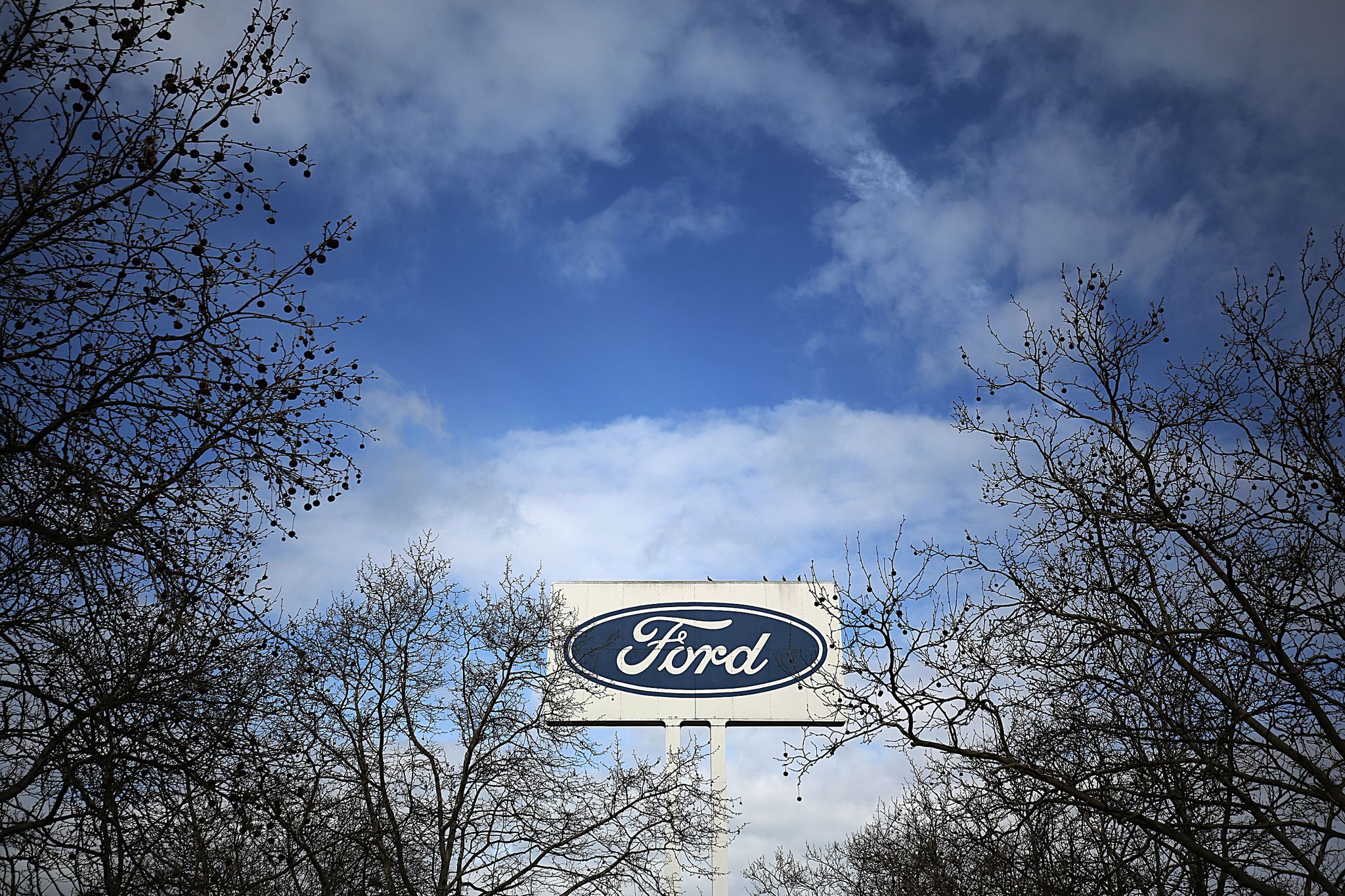 Mehr Elektro aus Köln: Ford investiert weitere Milliarde
