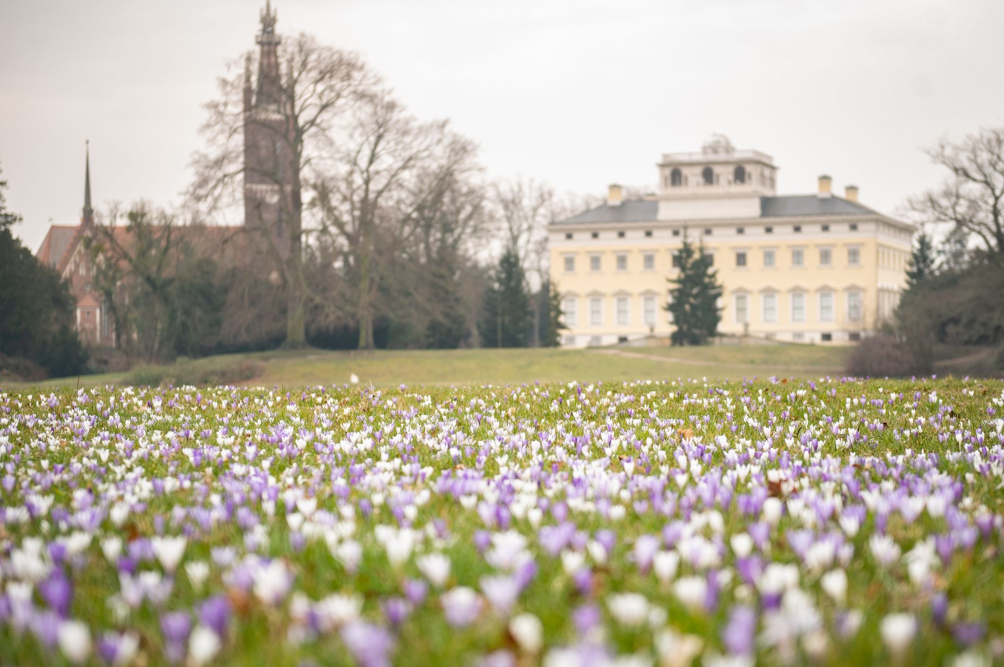 Der Frühling kommt – mit viel Sonne und knapp 20 Grad