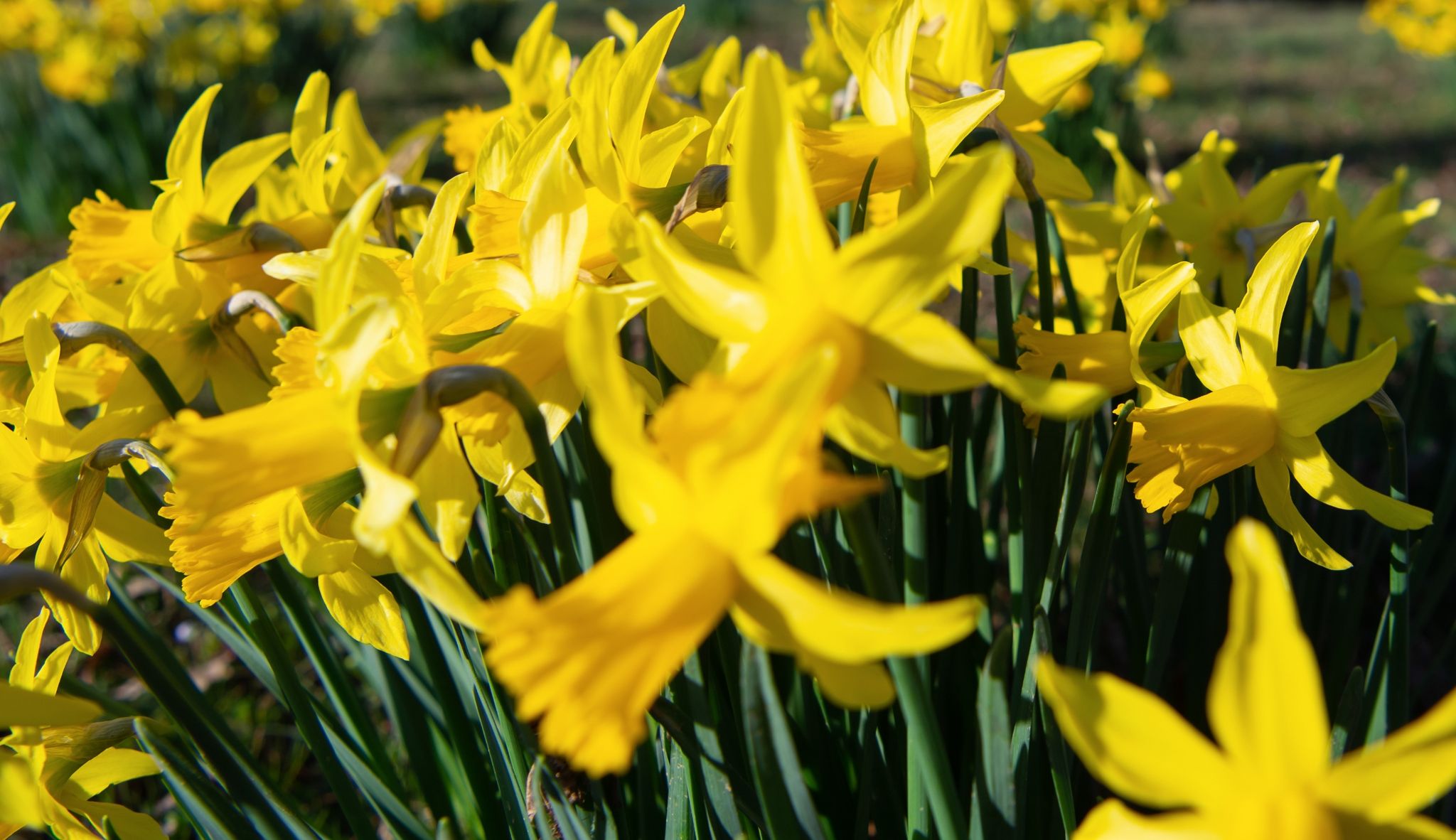 Sonnenreichster März seit Jahrzehnten – Wetterwechsel