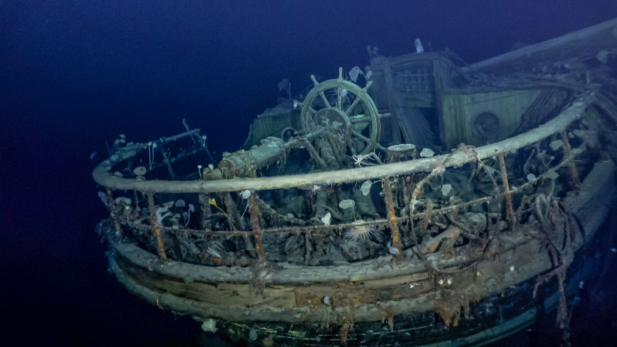 Forscher entdecken Schiffswrack der «Endurance»