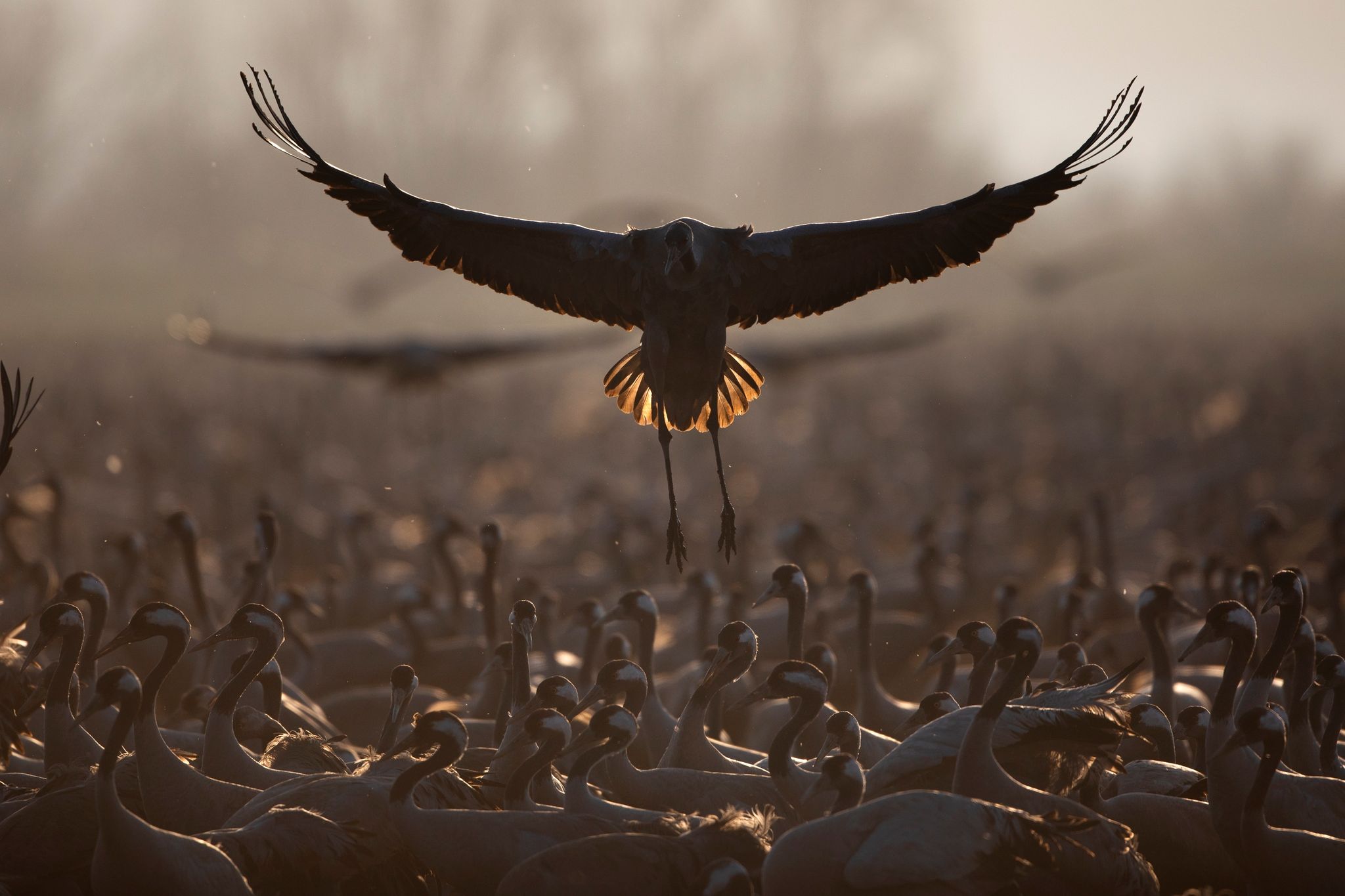 Biodiversitätspakt noch nicht am Ziel