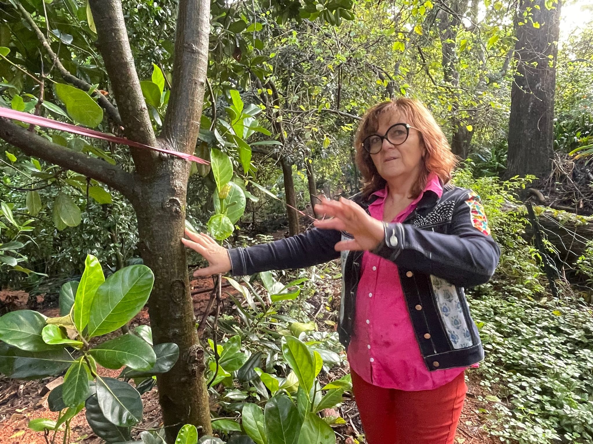 Permakultur: Selbstversorgung in Krisenzeiten