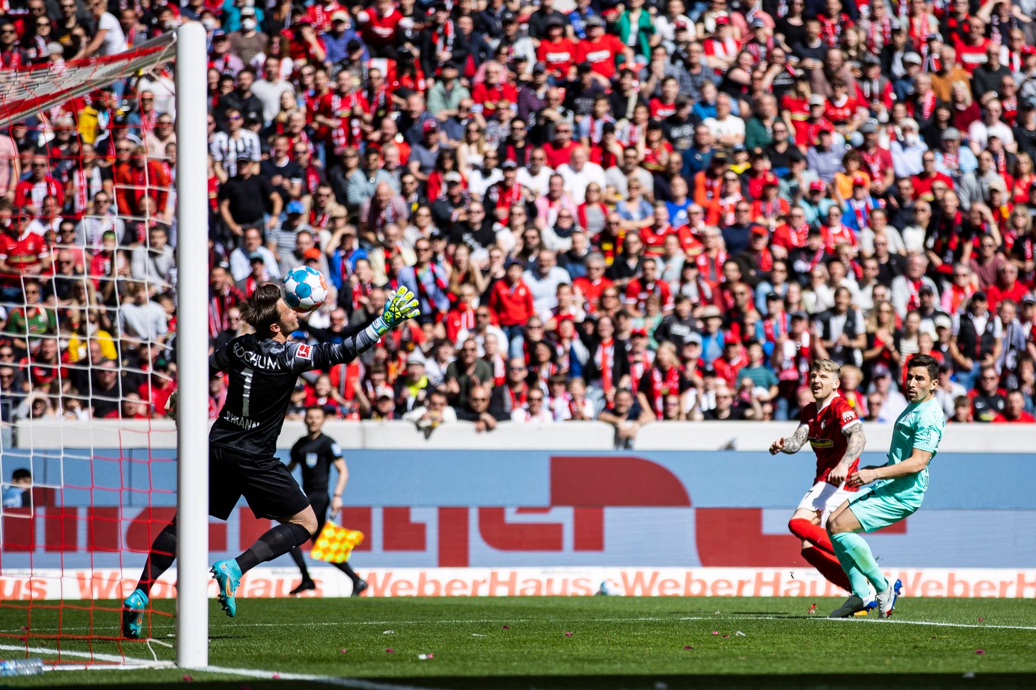 «Richtiger Fußball-Tempel»: Freiburg auf Europa-Kurs