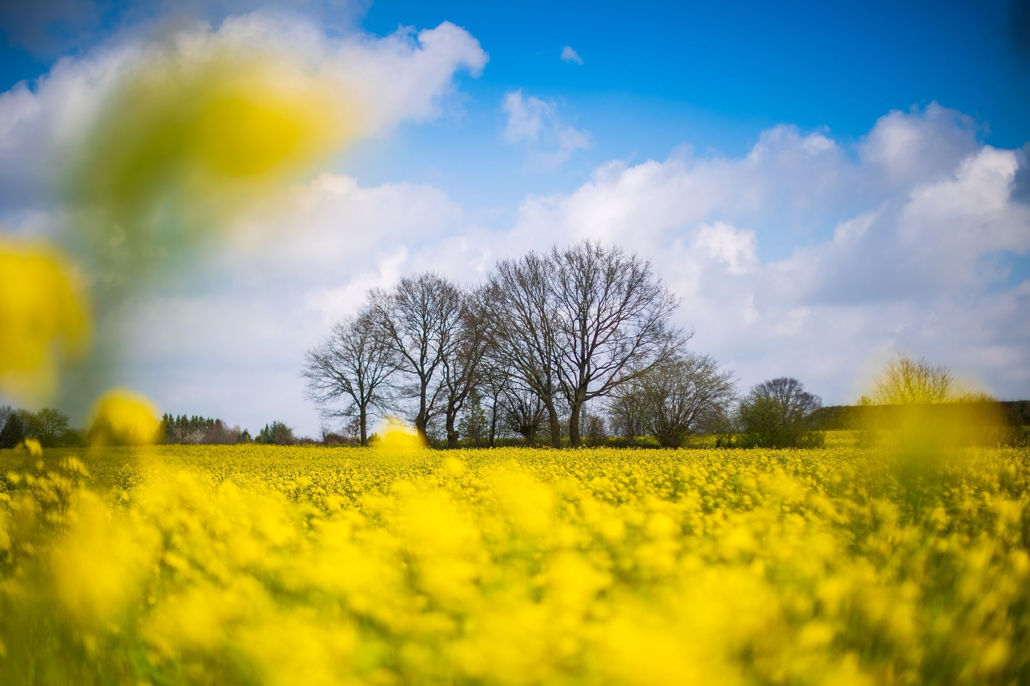 Wetter an Ostern zumeist sonnig