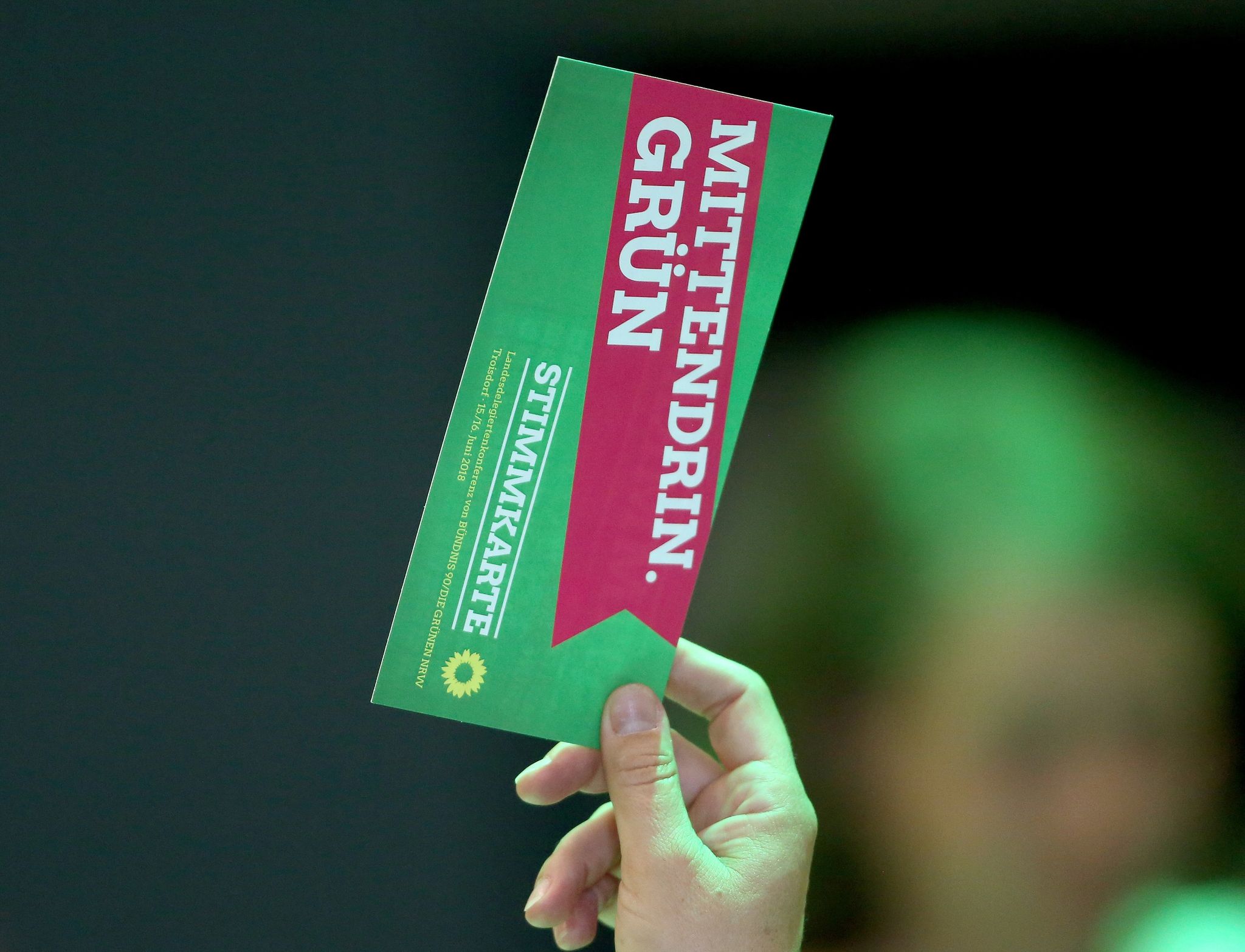 «Friedenspartei»: Grüne für Waffenlieferungen
