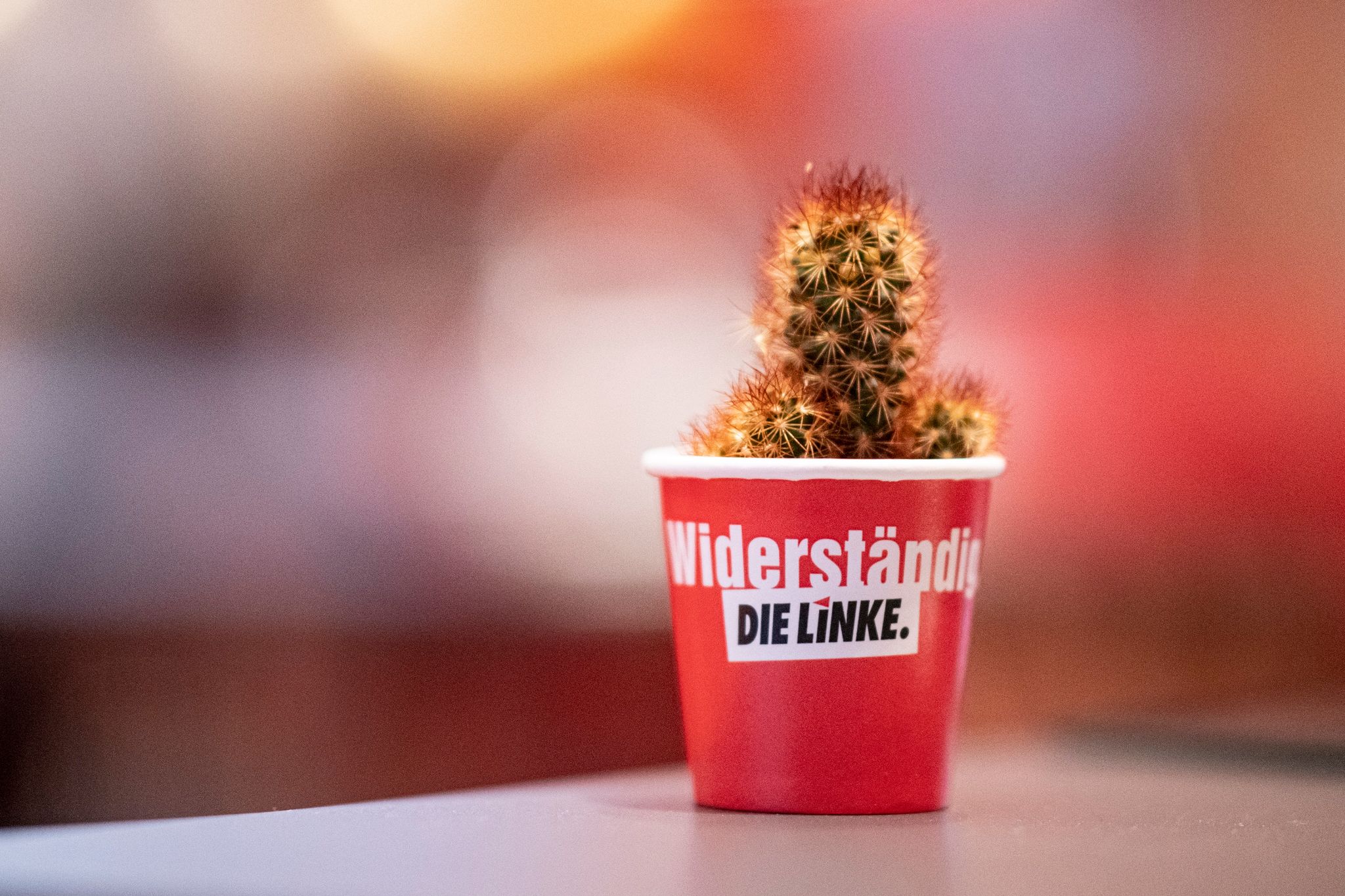 Übergriffe in Partei? Linke will «neutrale» Vertrauensleute