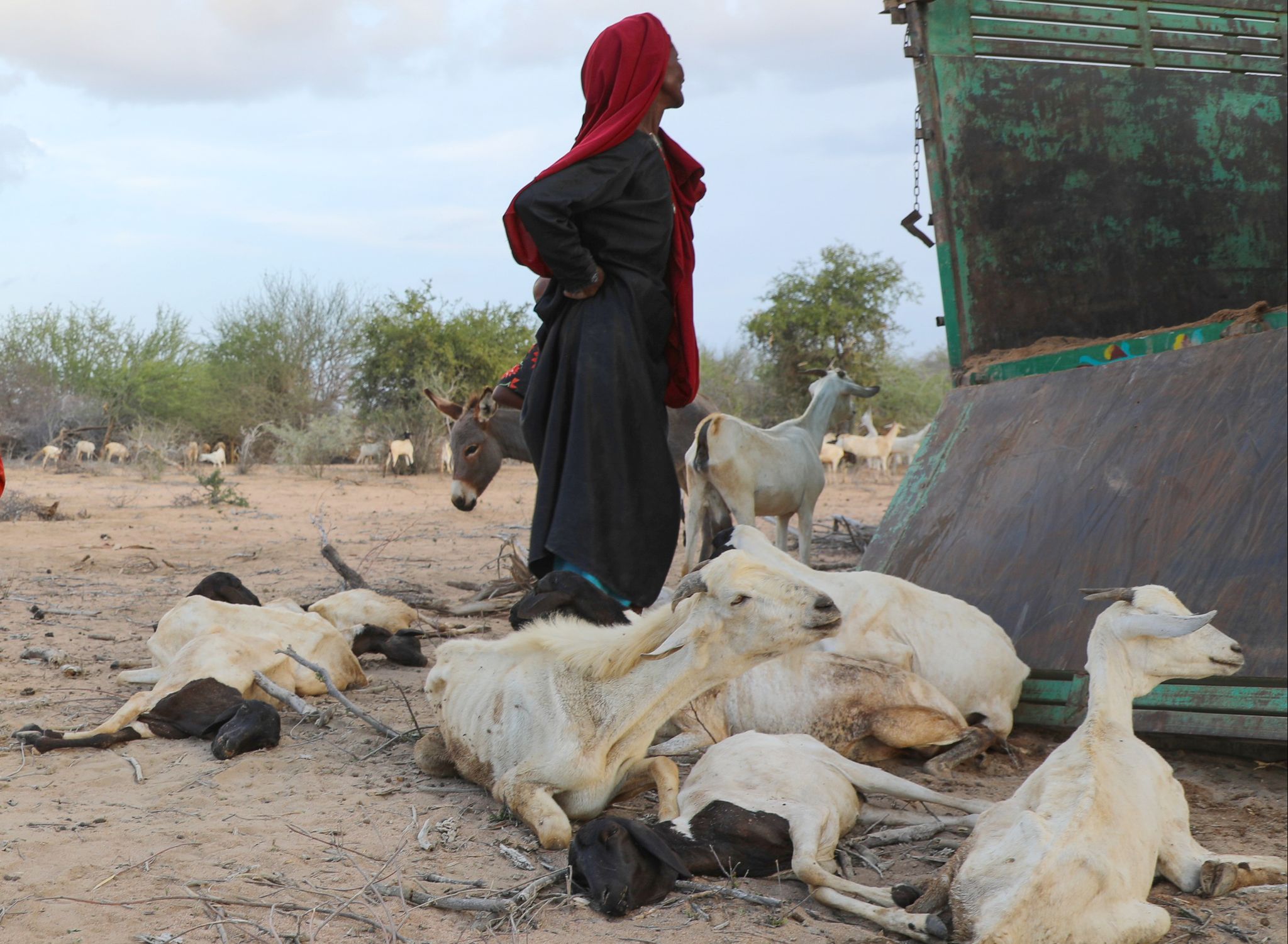 Schlimmste Dürre seit 40 Jahren – Millionen droht Hunger