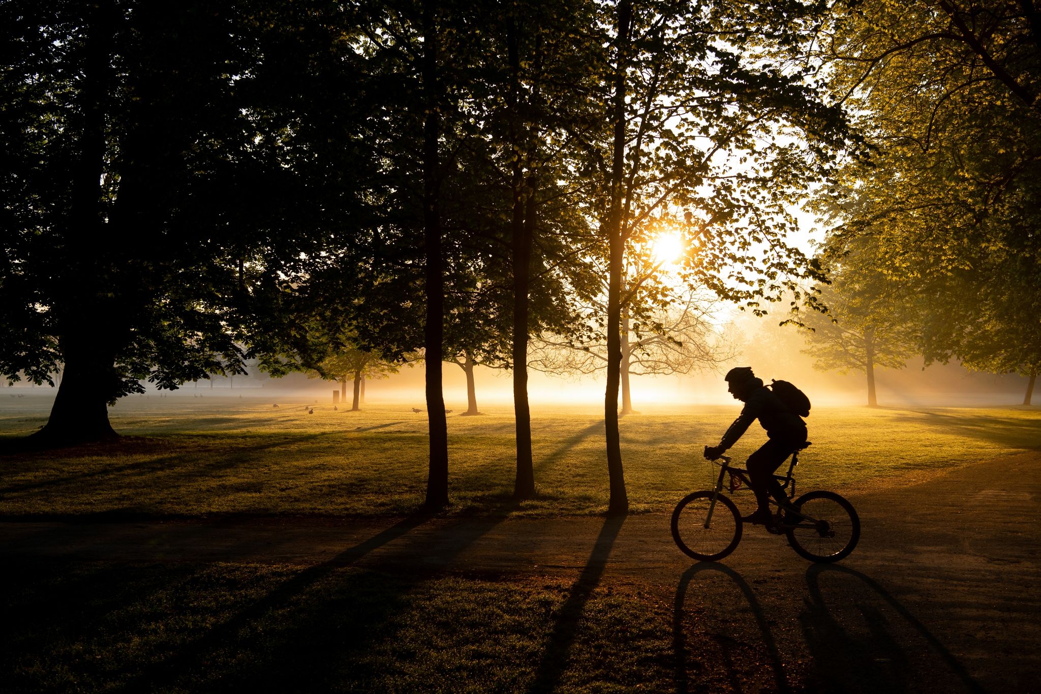 April brachte Sommer und Frost – trockene zweite Hälfte