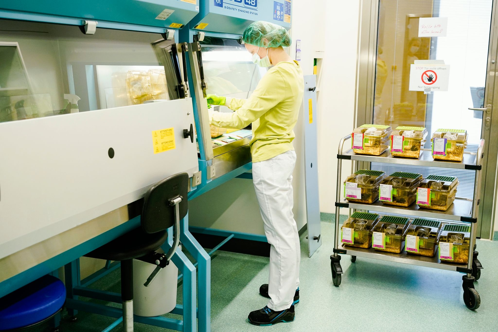 Krebsforscher halten Tierversuche für unverzichtbar