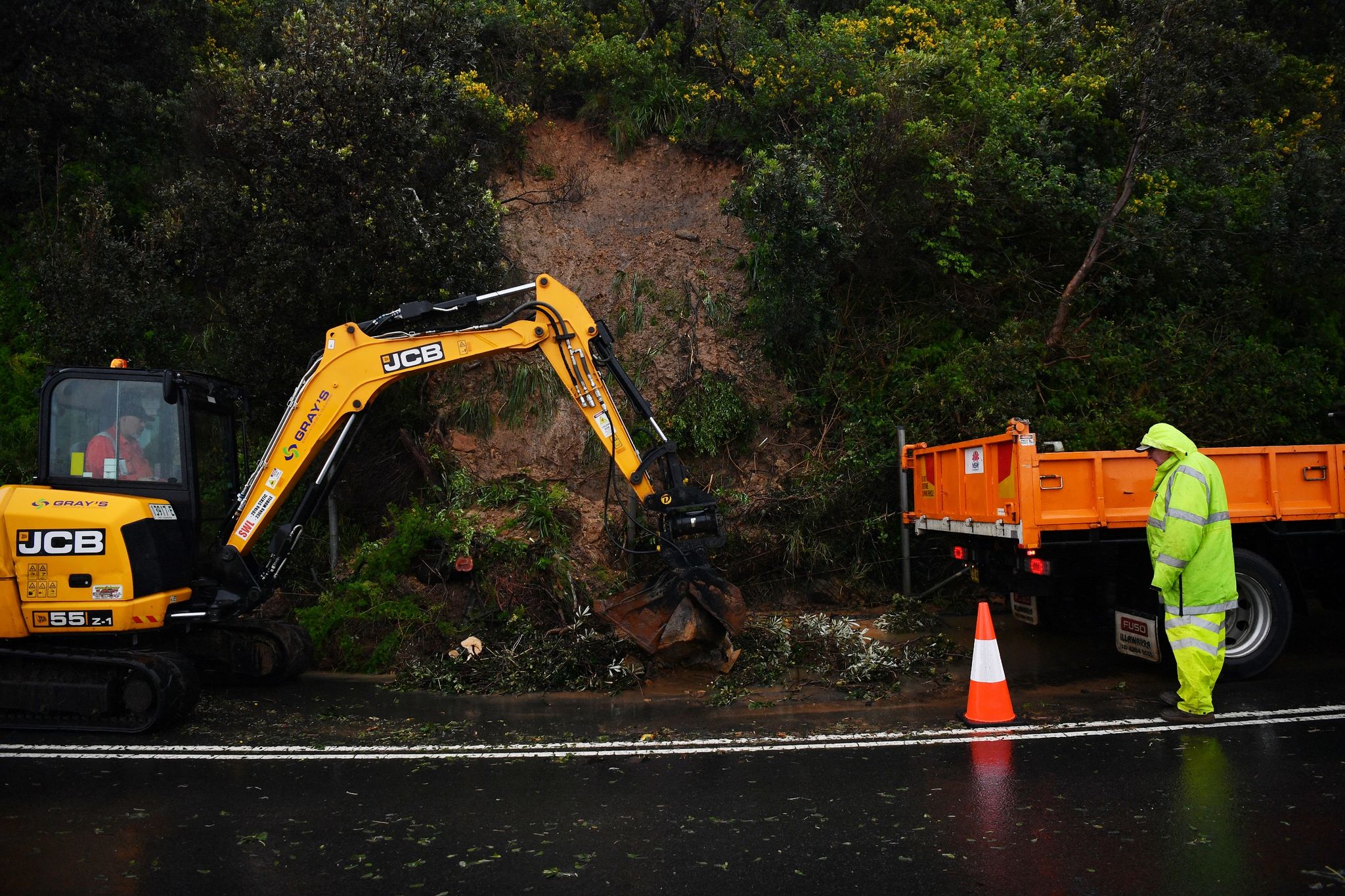 Rekordregen in Sydney – Massen von Krabbeltieren unterwegs