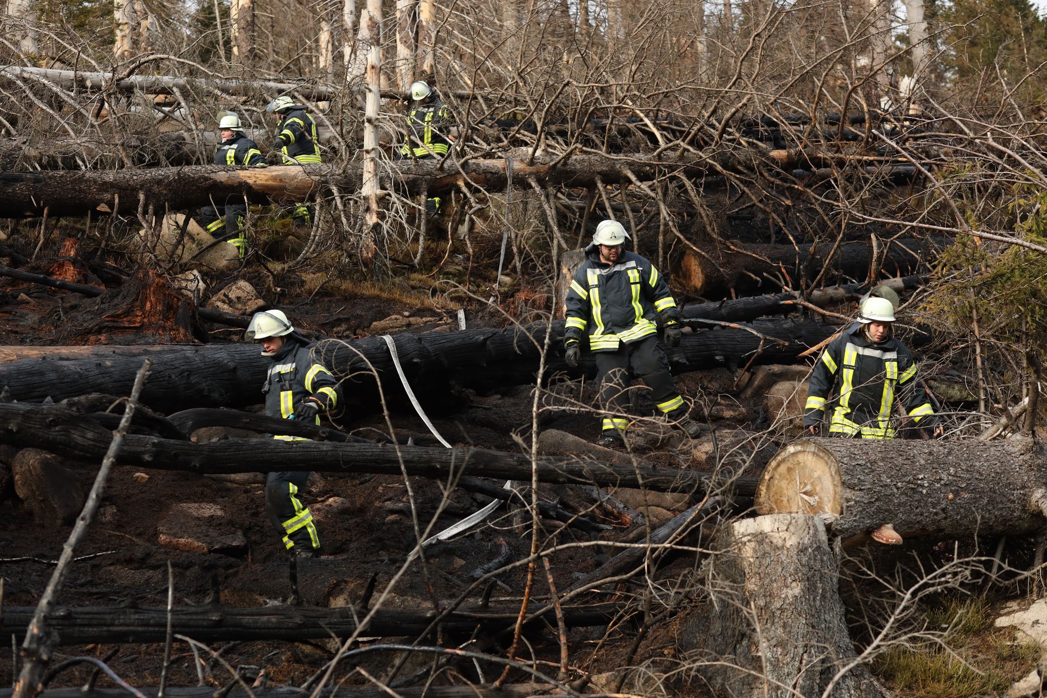 Feuerwehreinsatz auf Brocken beendet, Menschen in Sicherheit