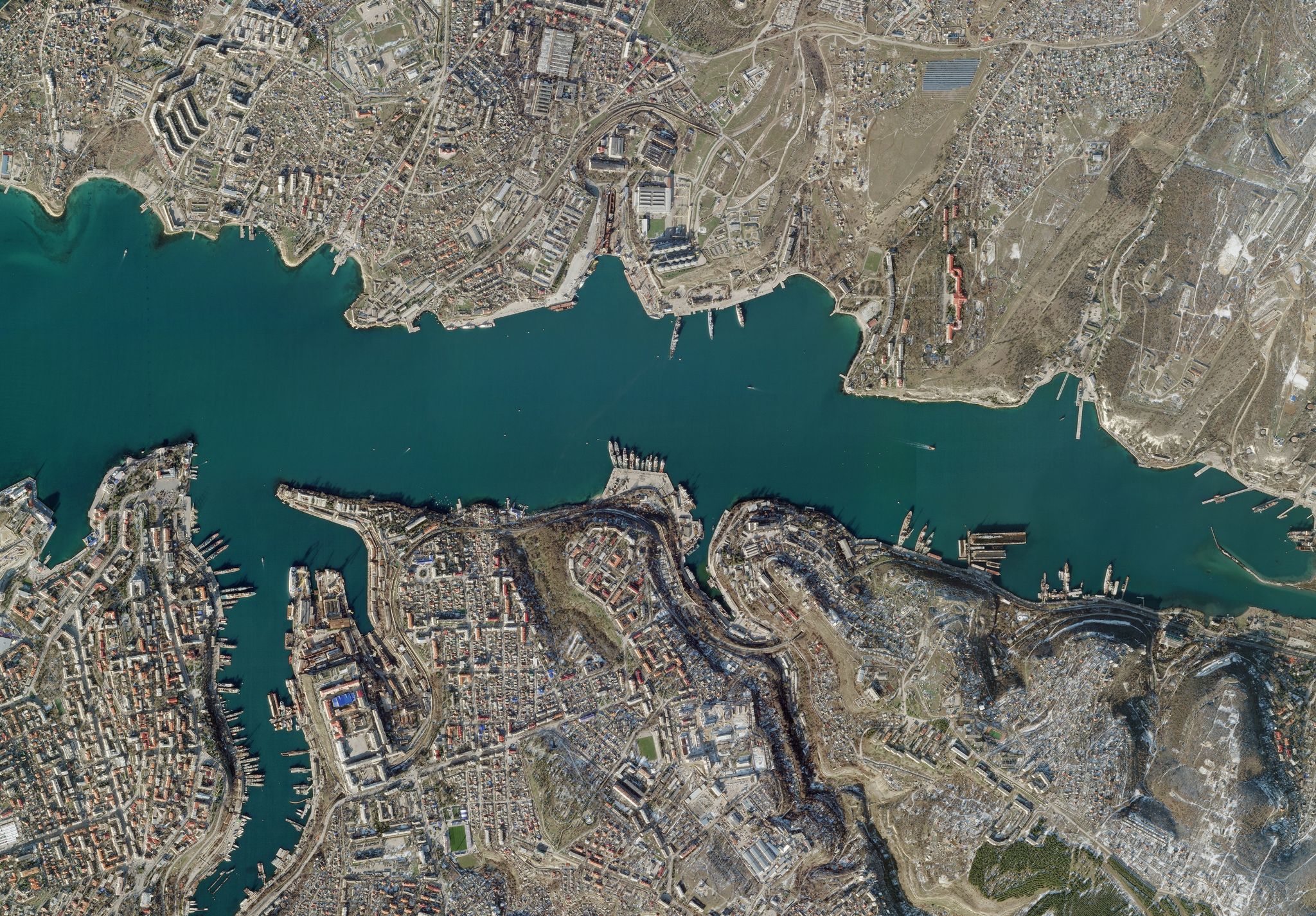 Russland setzt Delfine zum Schutz seiner Flotte ein