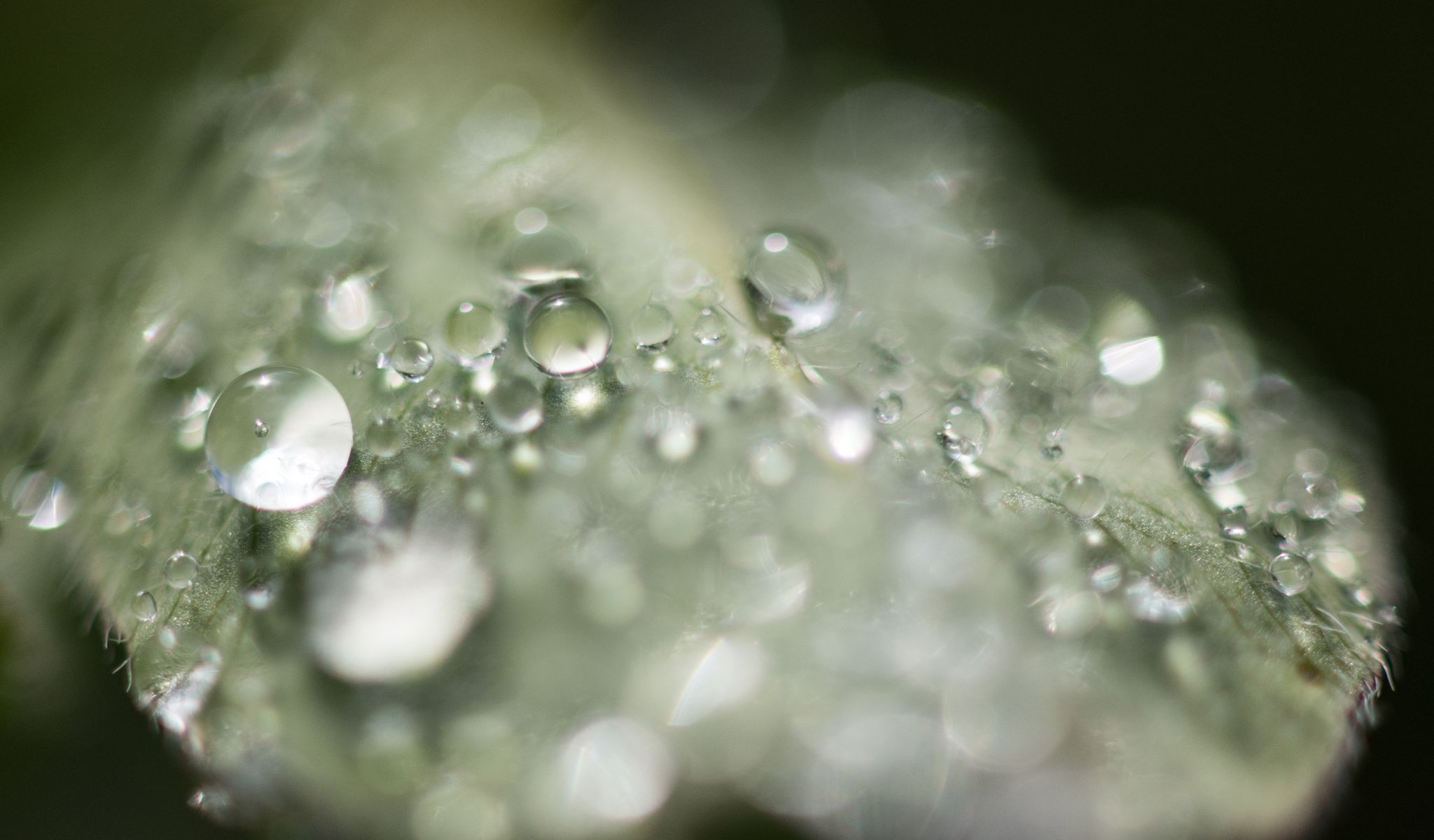 Sturmtief zieht über Süden Deutschlands