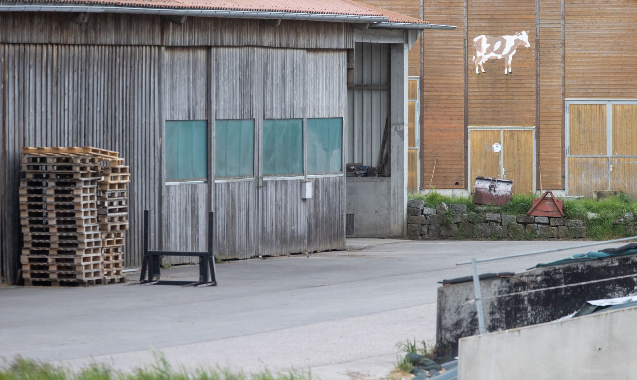 Rinder qualvoll verendet – Bewährungsstrafe für Landwirt