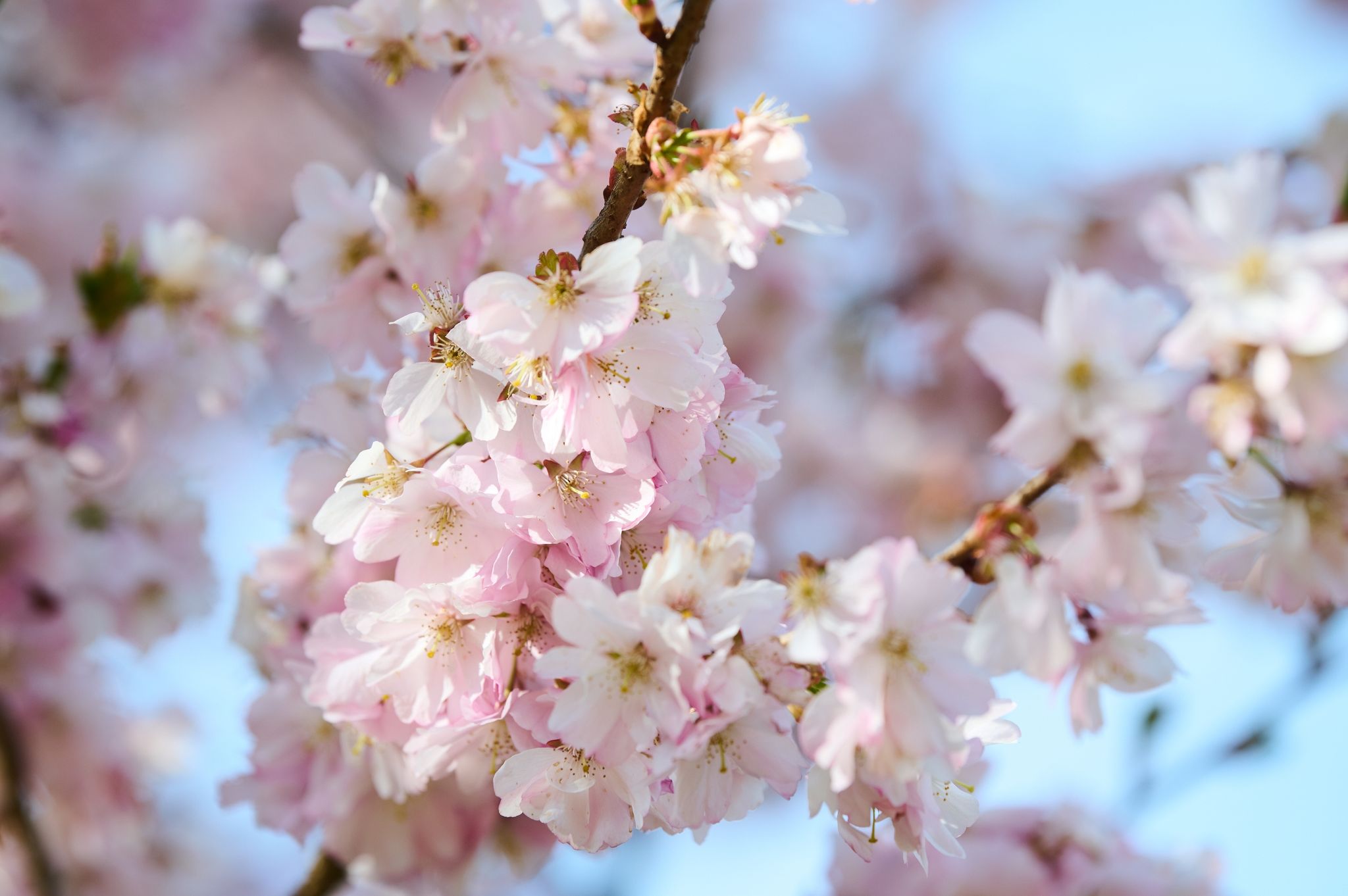 Nach Schnee und Regen kommt die Sonne