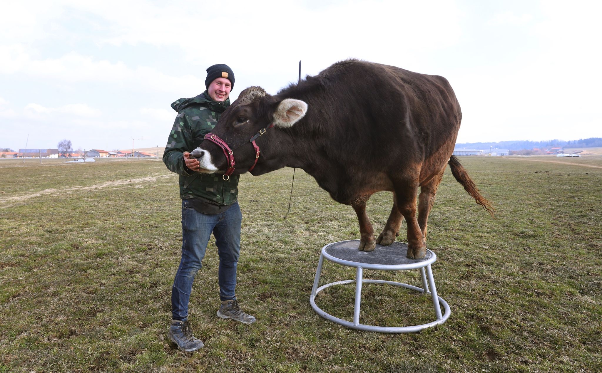 Die Kuh, das unbekannte Wesen