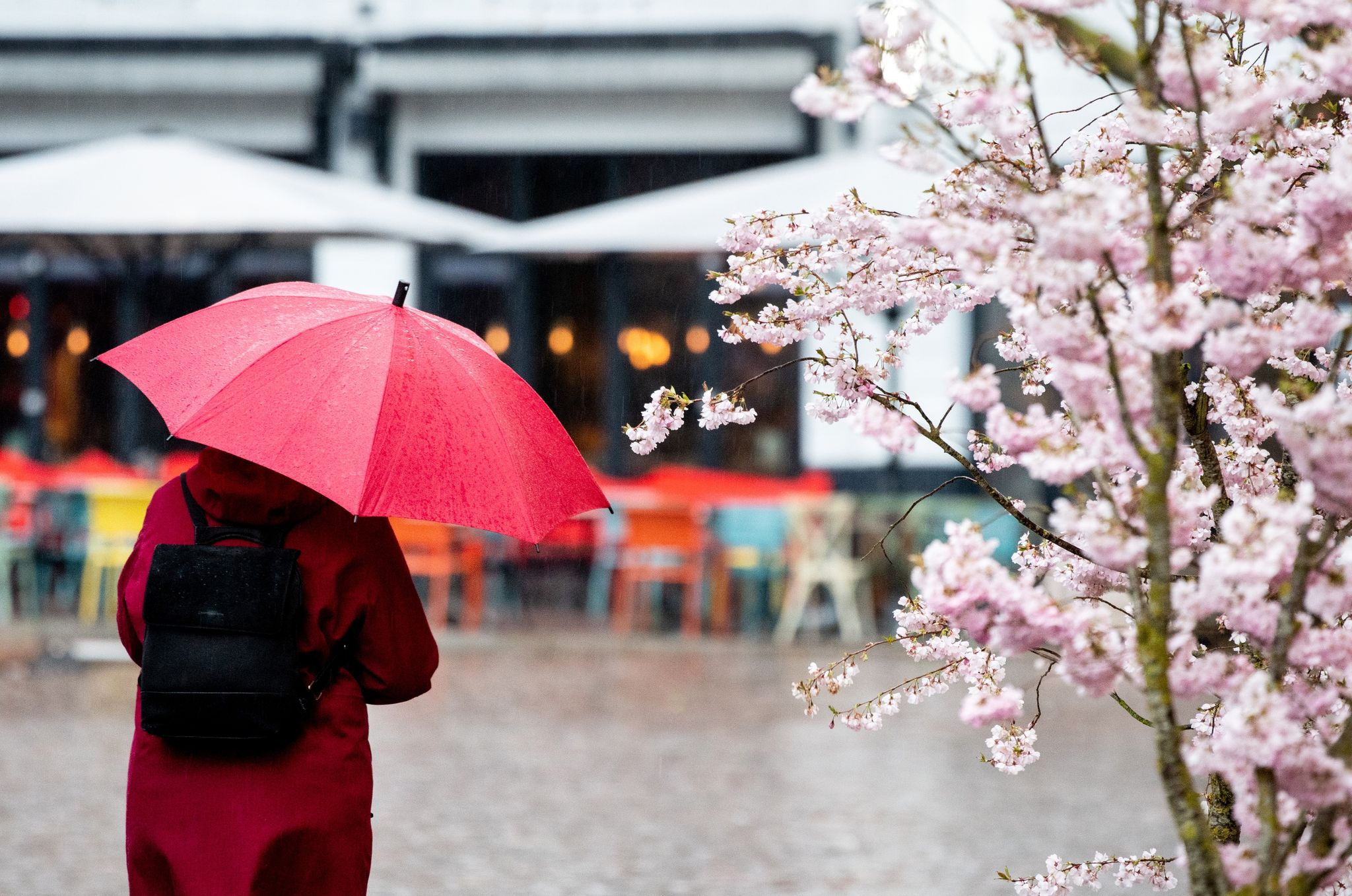 Turbulente Woche mit Regen, Sturm und Tauwetter