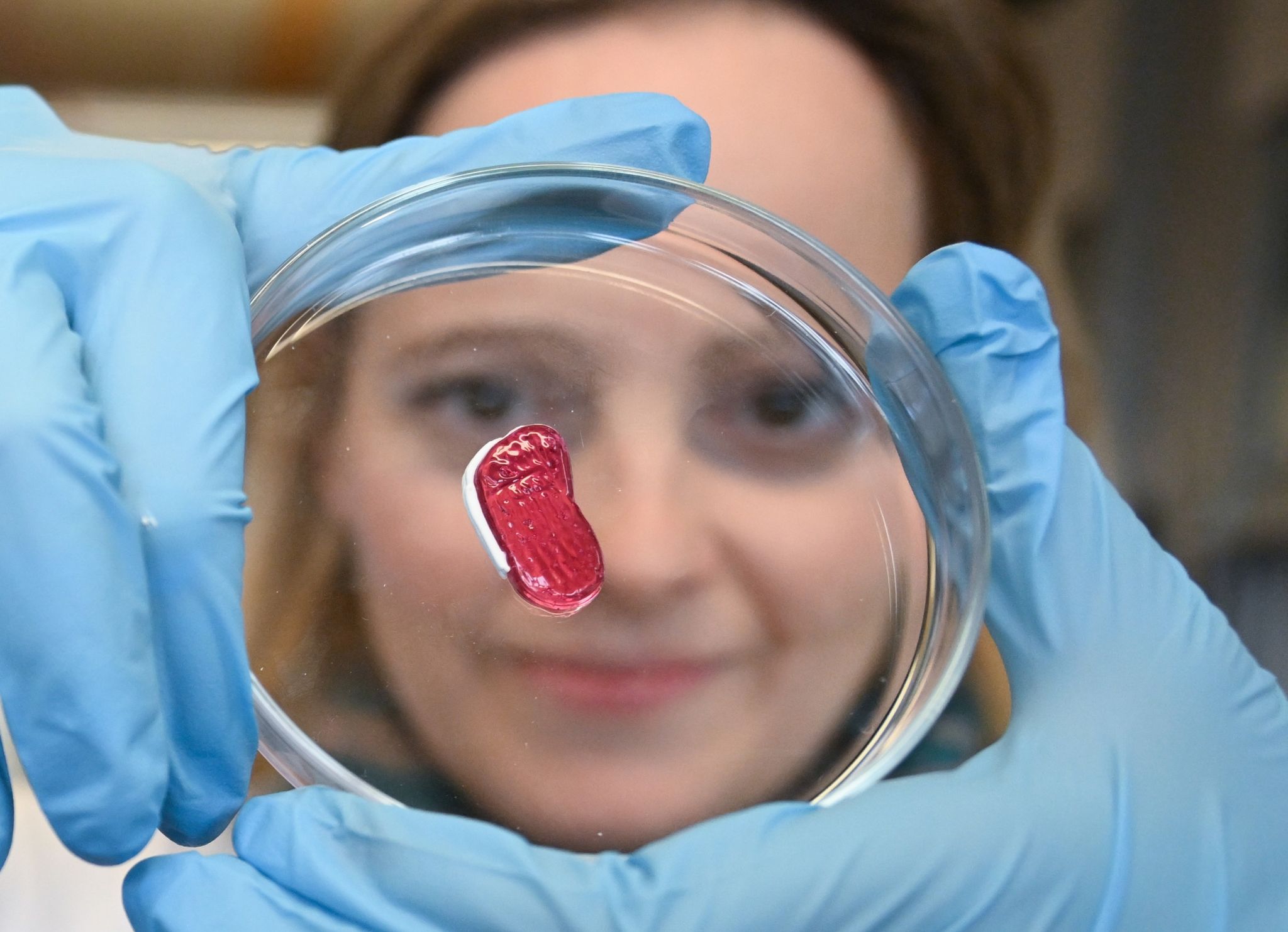 Fleisch ohne Kühe und Schweine