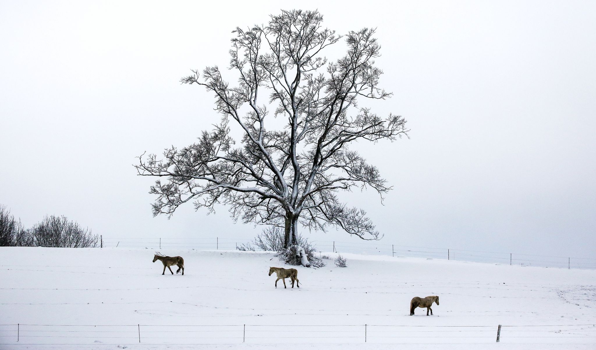 Wintereinbruch in Südhälfte Deutschlands