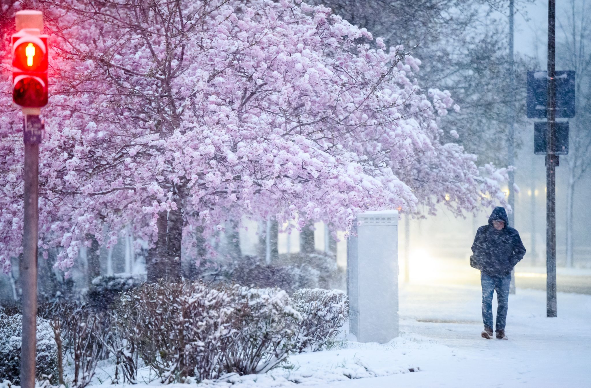 Schnee zum Aprilstart in Teilen Deutschlands – Glättegefahr