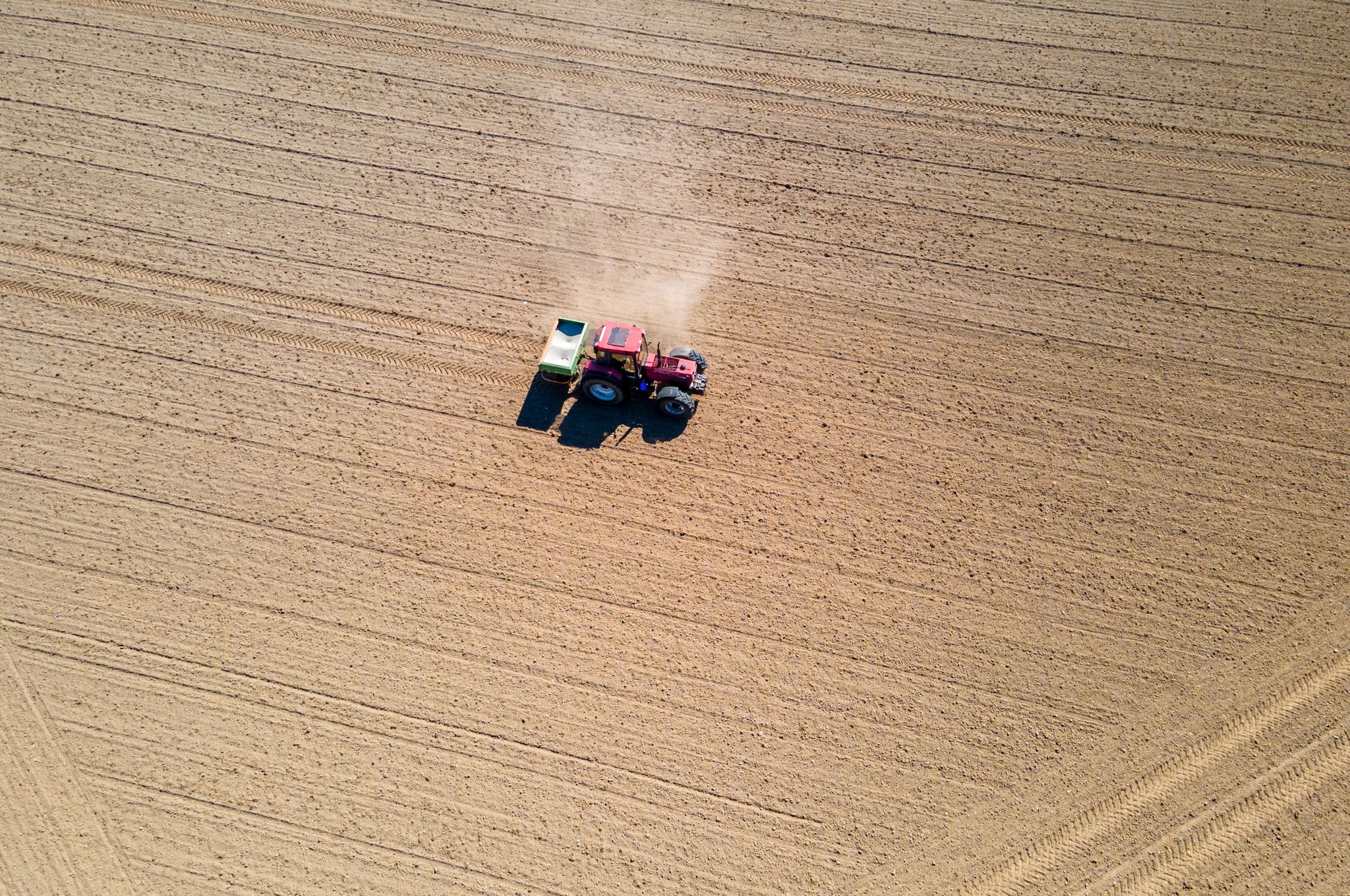 Studie: Immer weniger Stickstoff in Ökosystemen verfügbar