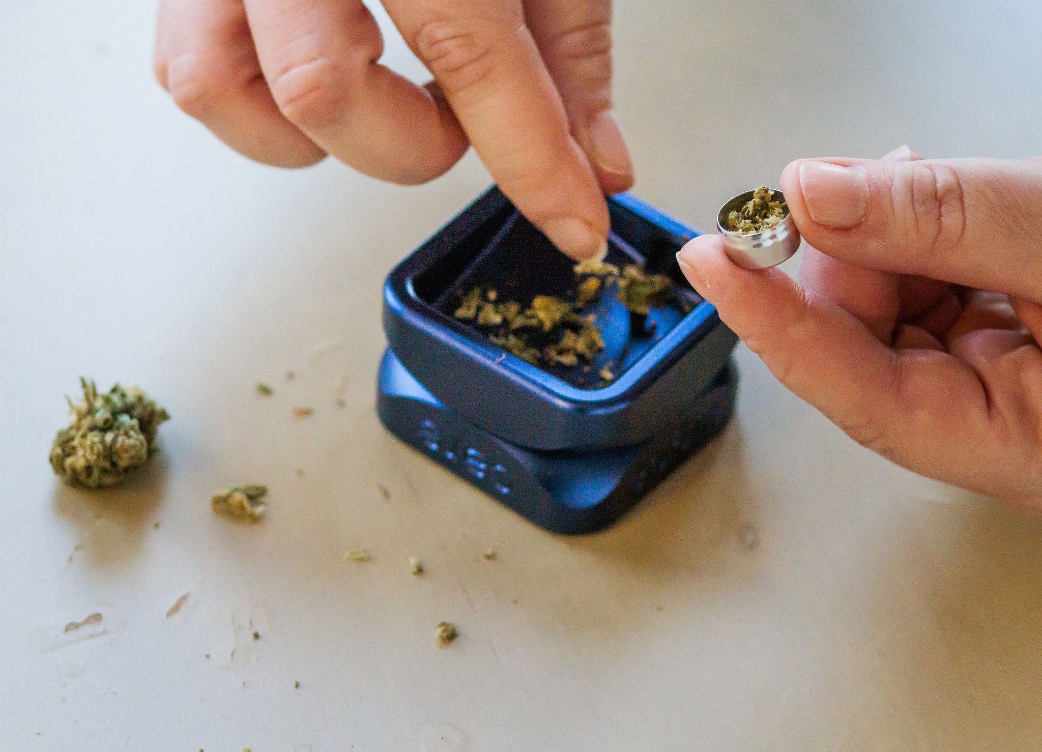 Holetschek besorgt über Cannabis-Pläne der Ampel