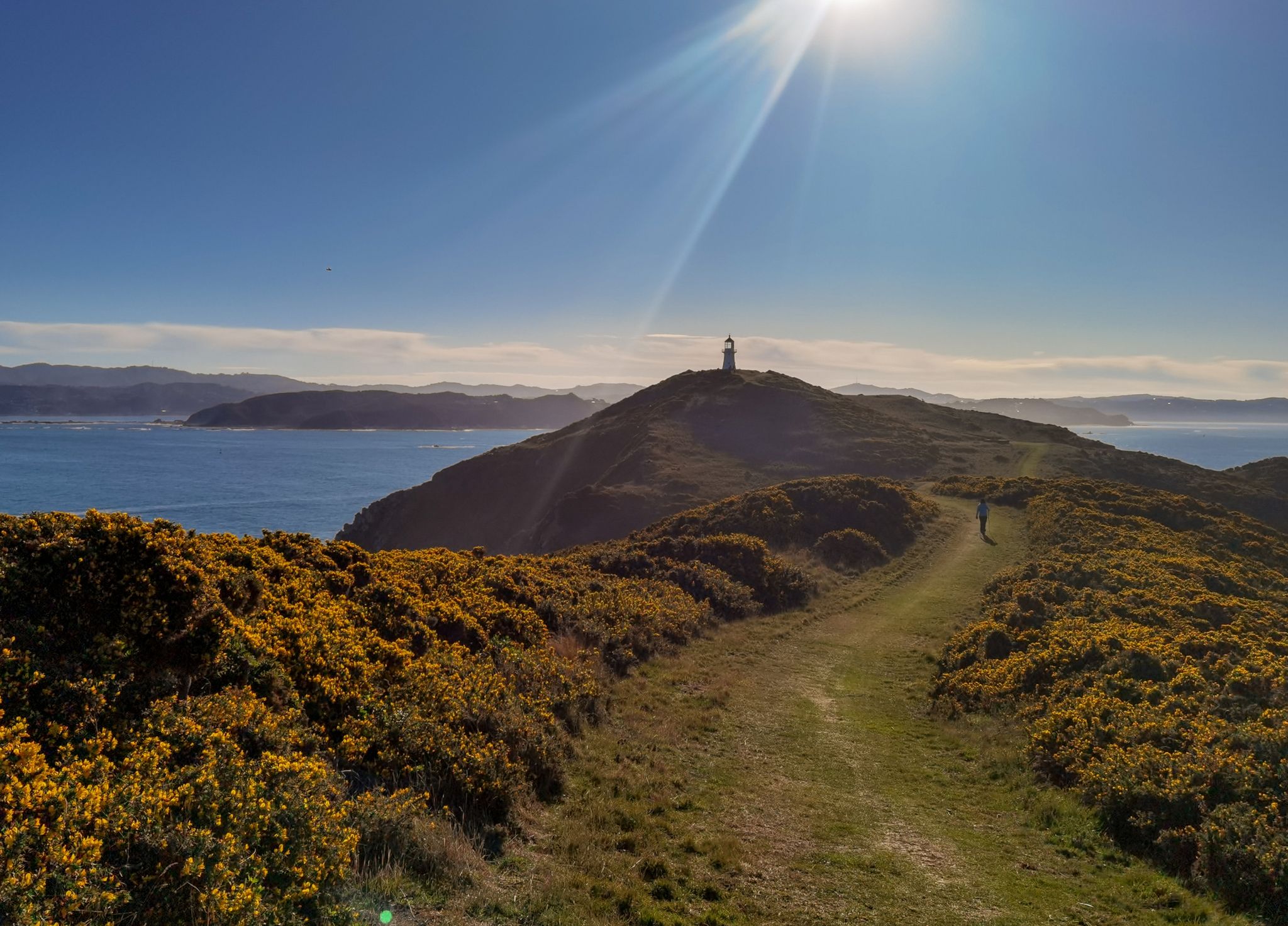 Neuseeland öffnet sich wieder für Besucher aus aller Welt