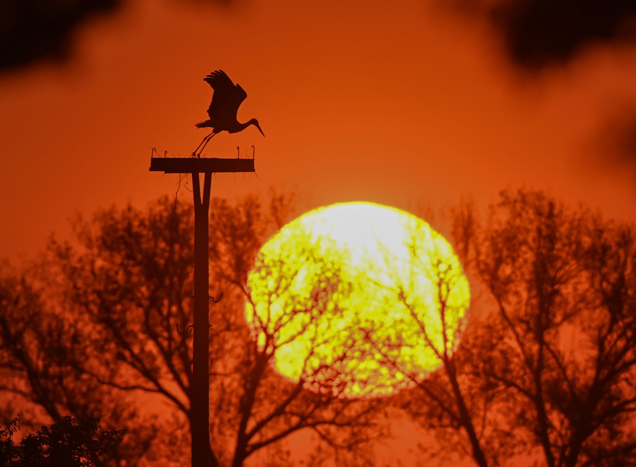 «Gefühlt» 35 Grad am Oberrhein