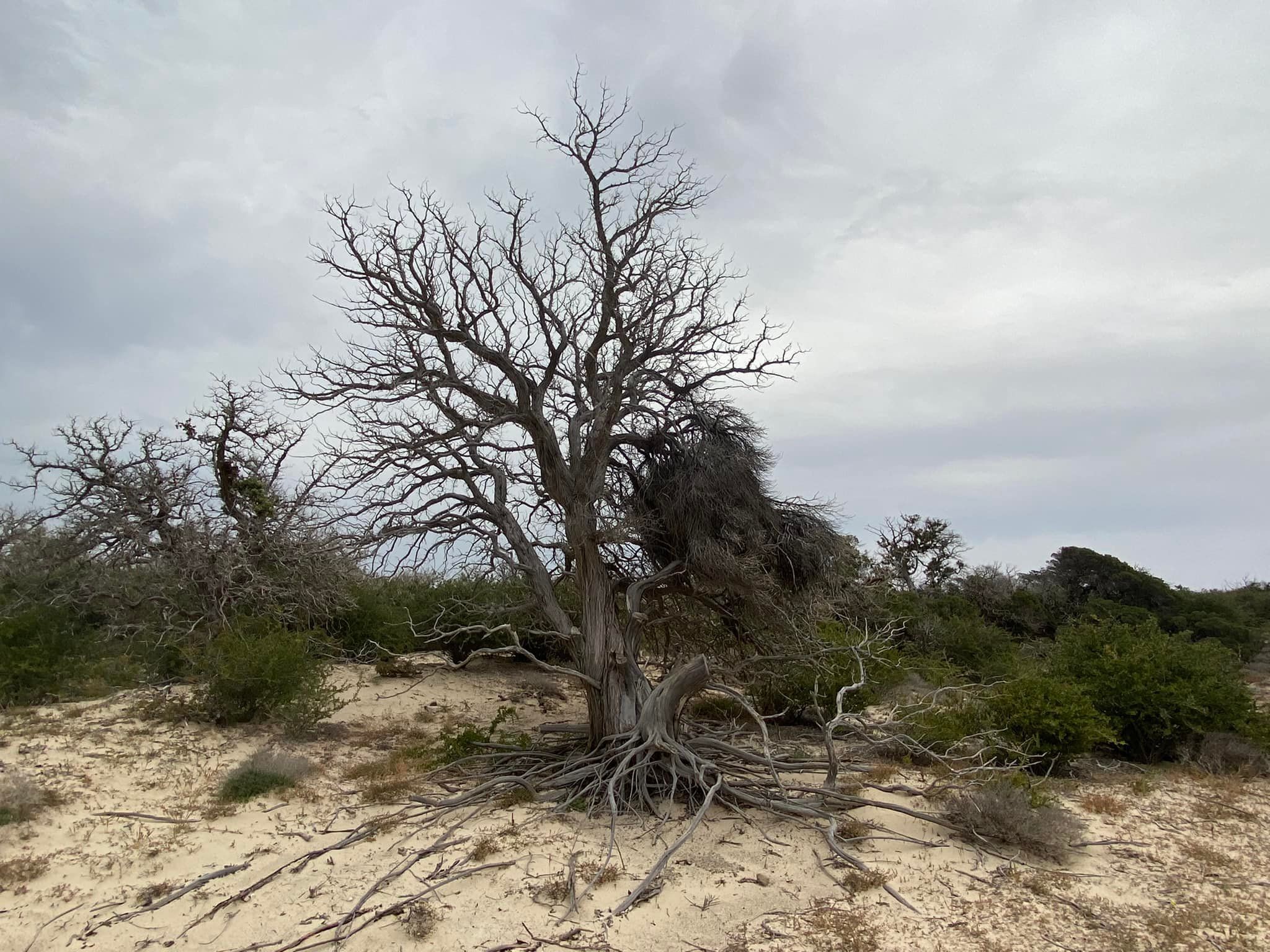 Behörden verbieten Menschen auf griechischer Insel