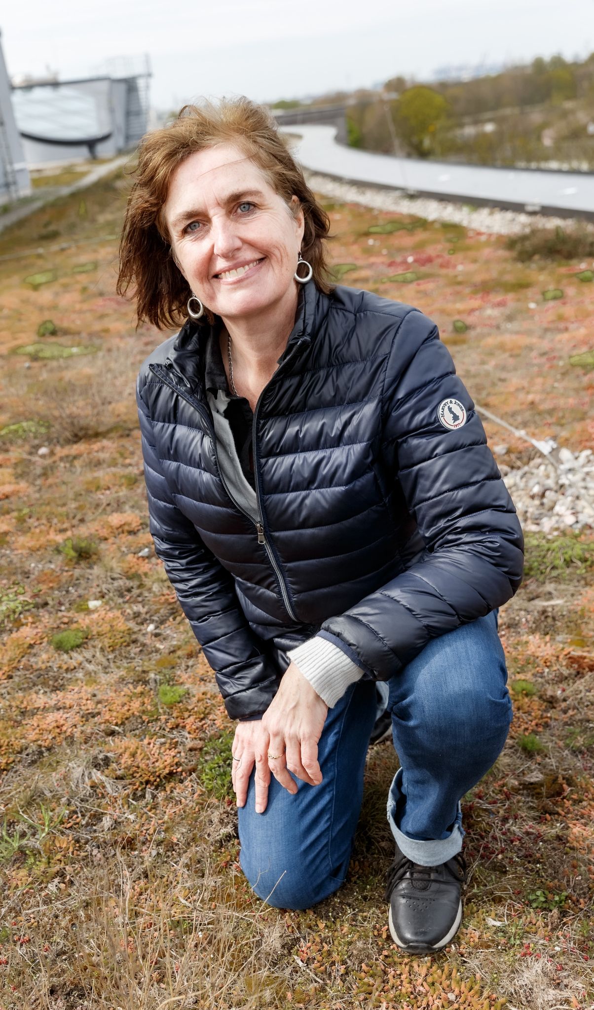 Gründächer mit überraschend viel Artenvielfalt