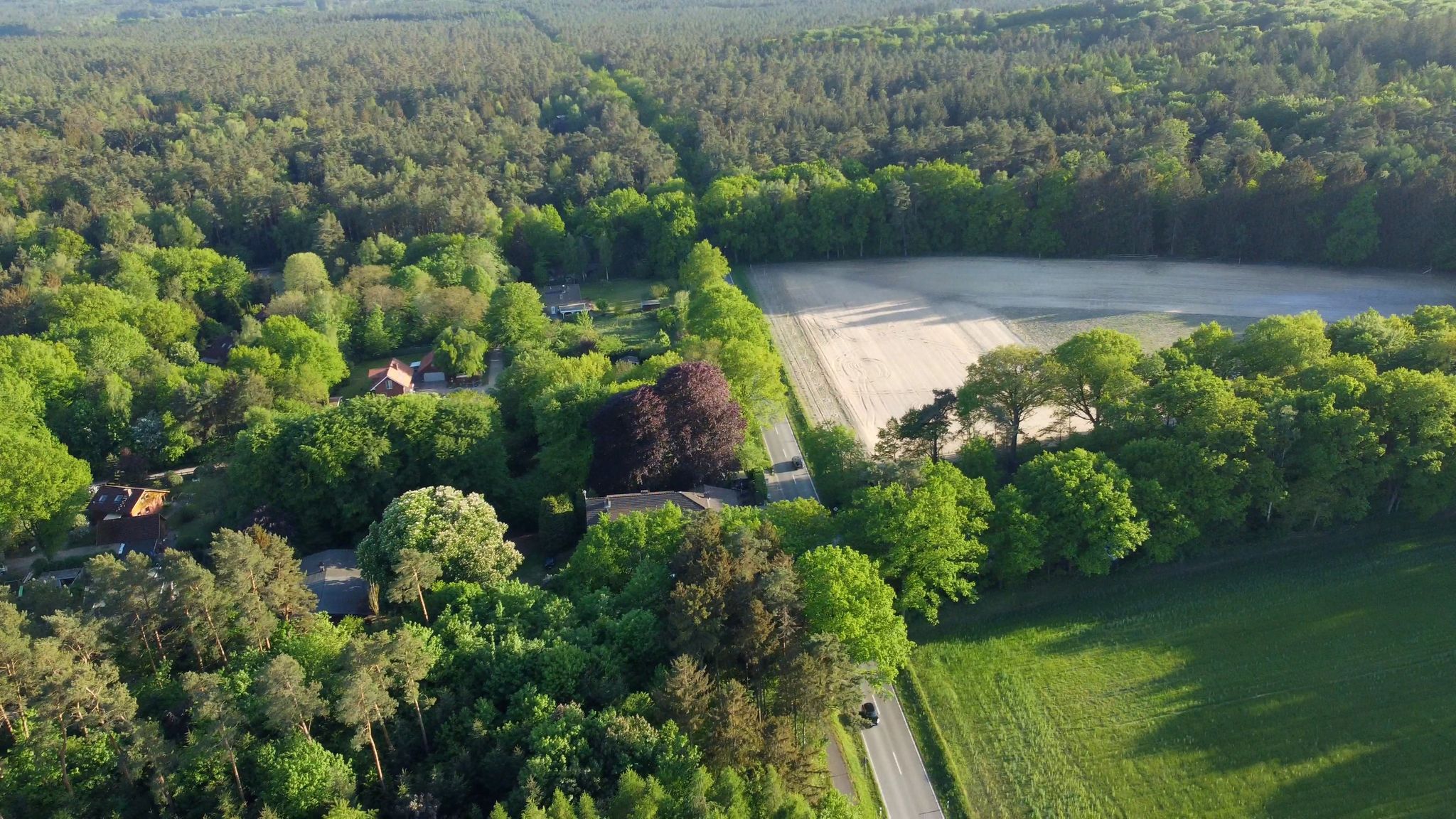 Tod einer Frau: So kam es zur Festnahme des Tatverdächtigen