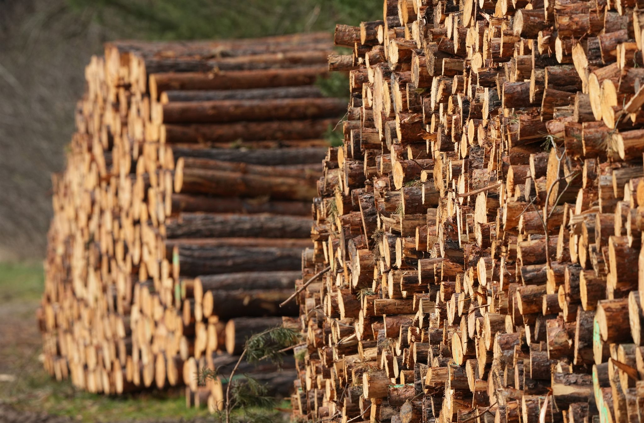 Deutschland hat Ressourcen für 2022 bereits verbraucht