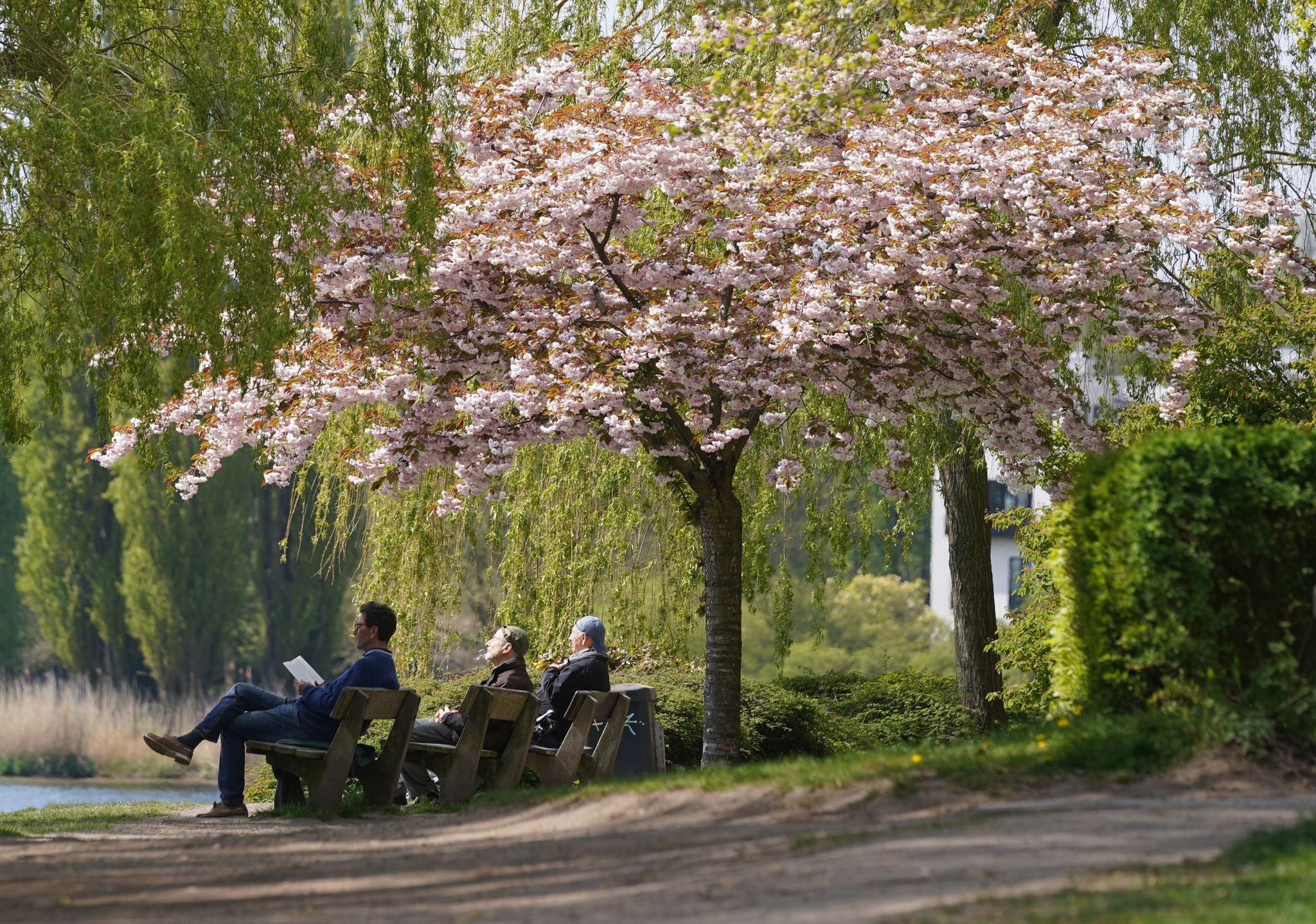 Erste Maiwoche wird nur im Norden schön