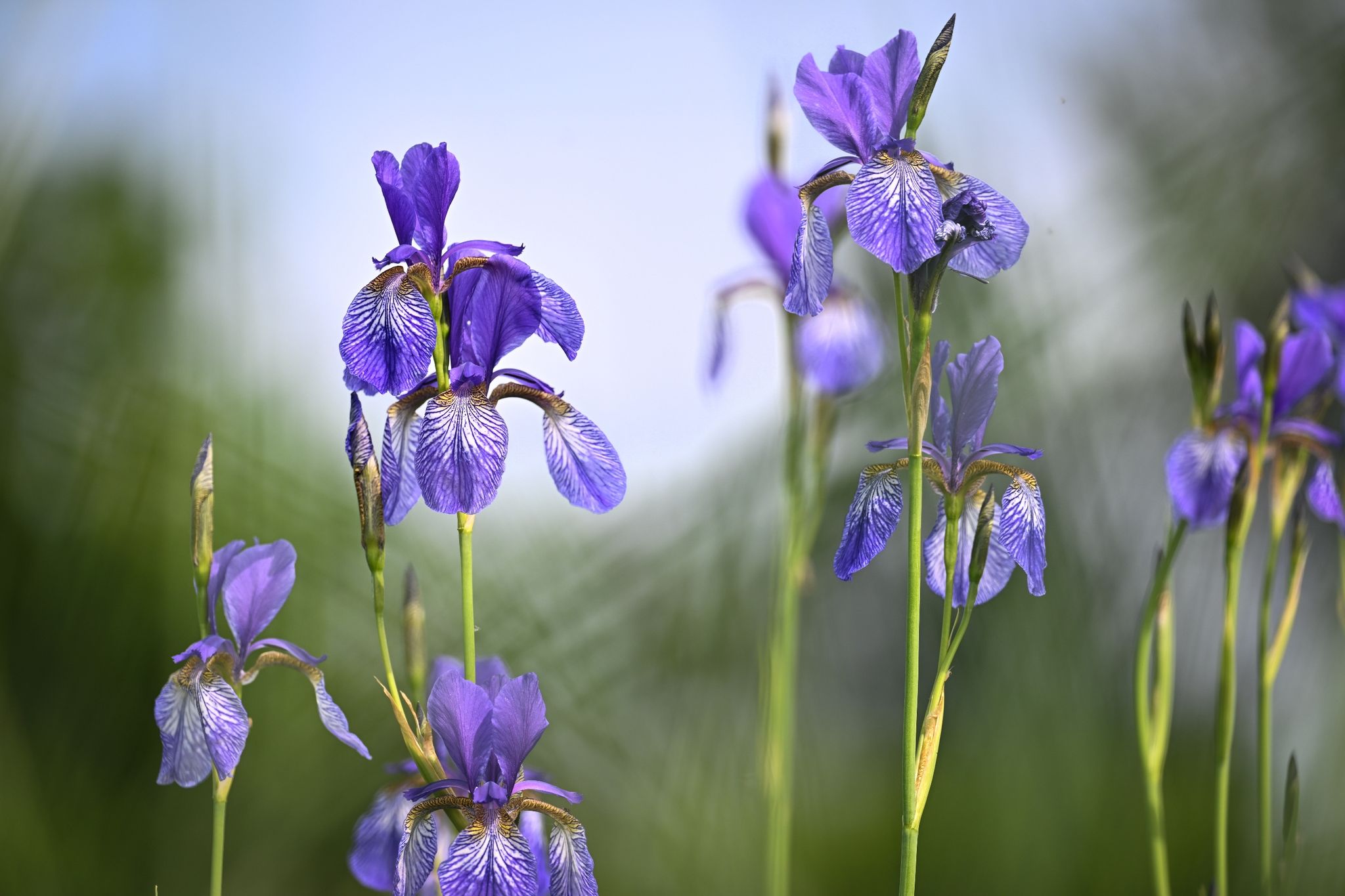 Am Montag drohen örtlich erneut Unwetter in Deutschland