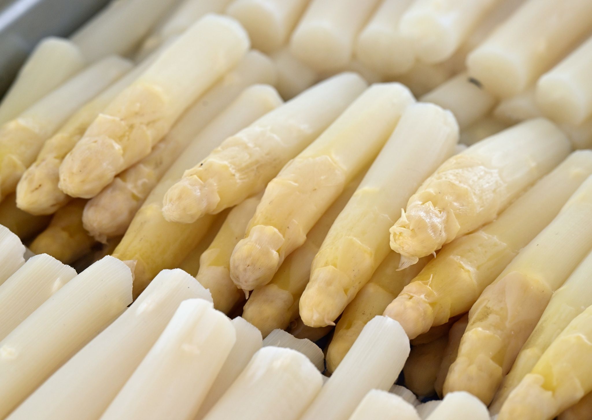 Ein Drittel hält Spargelzeit für einen übertriebenen Hype