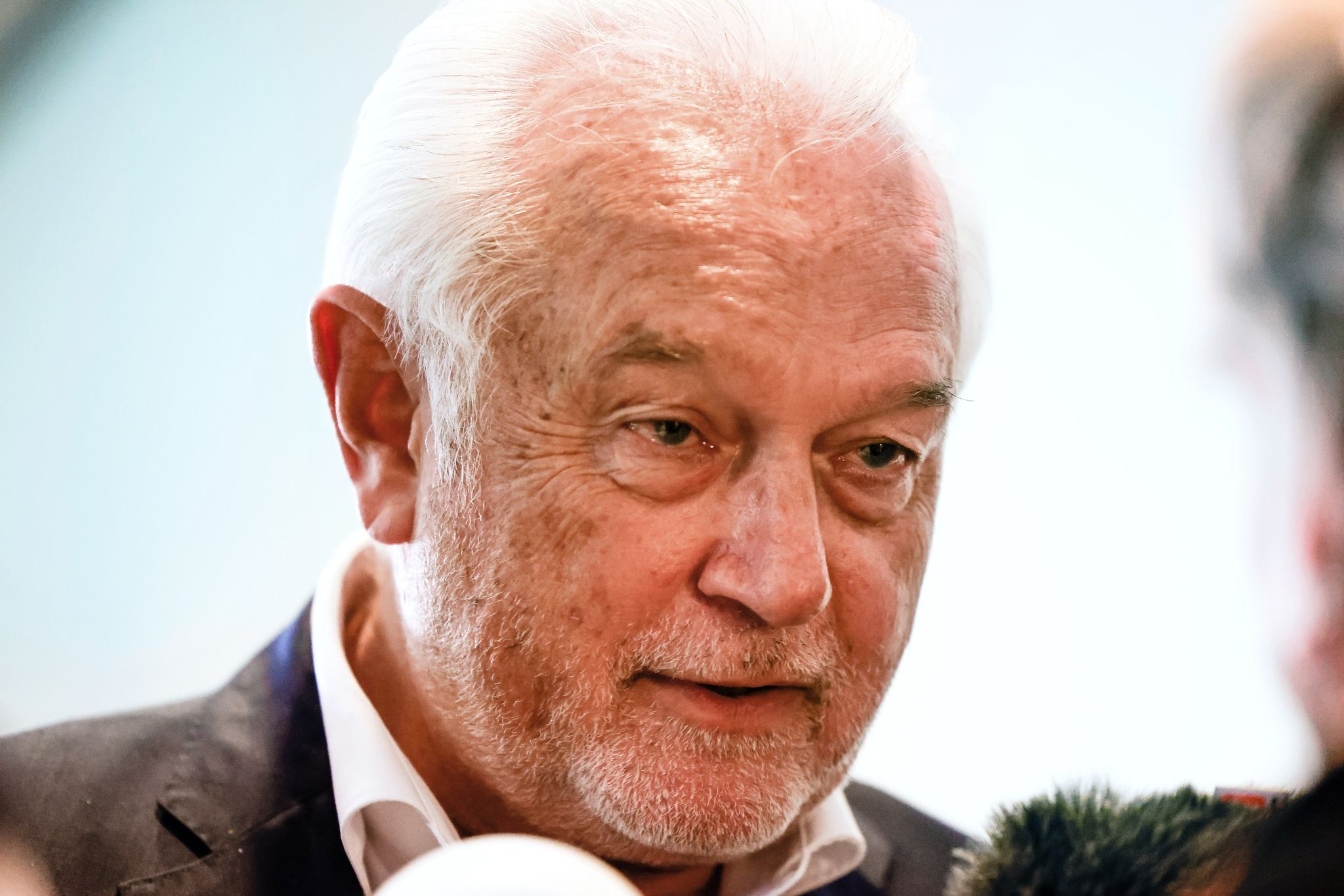Umgang mit Ex-Kanzler Schröder: Kubicki widerspricht Scholz