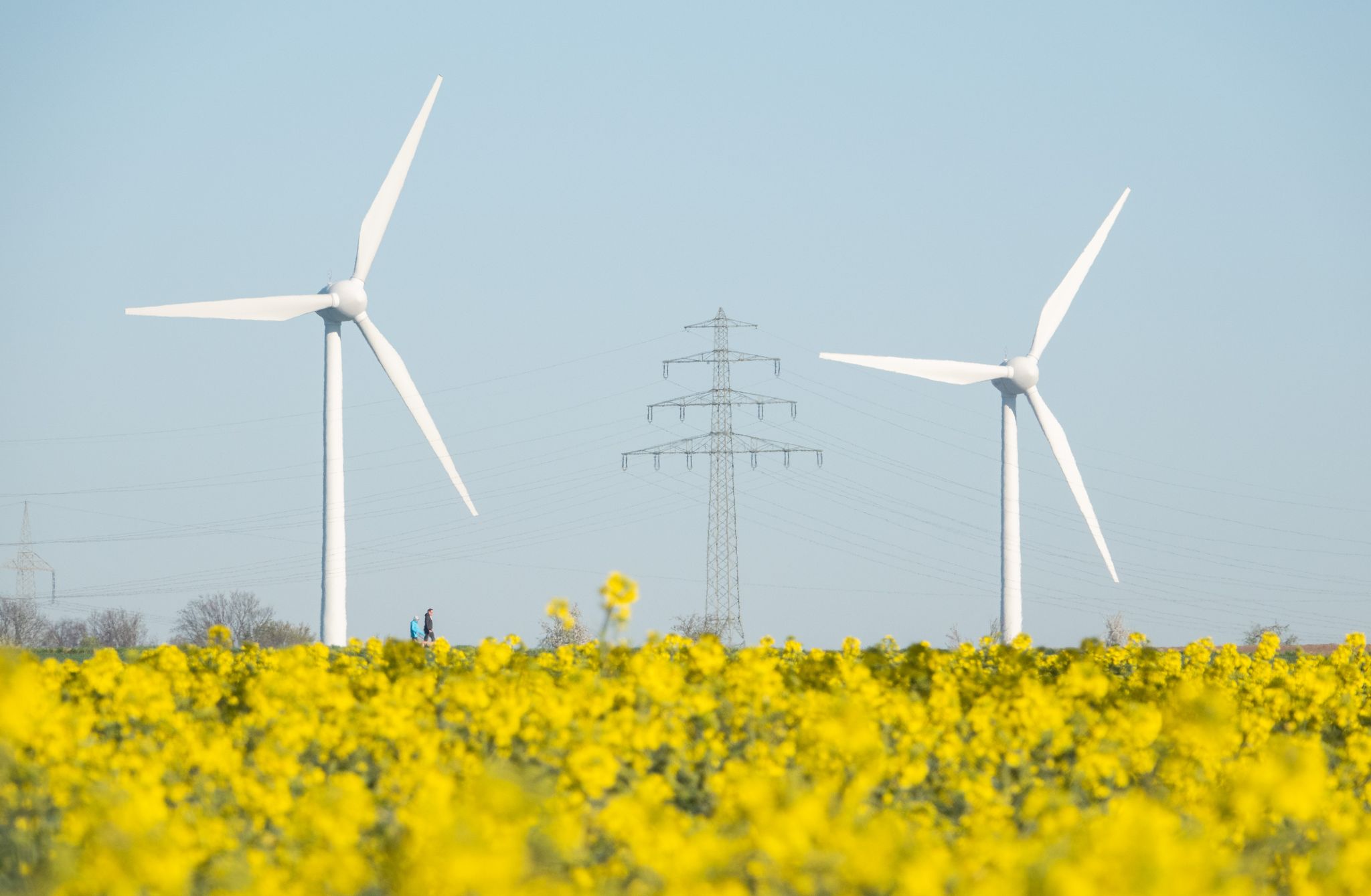 Fast alle Bundesländer hinken bei Windkraftausbau hinterher