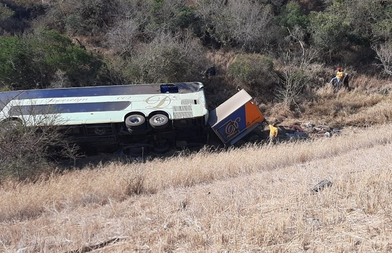28 Tote bei schwerem Bus-Unfall