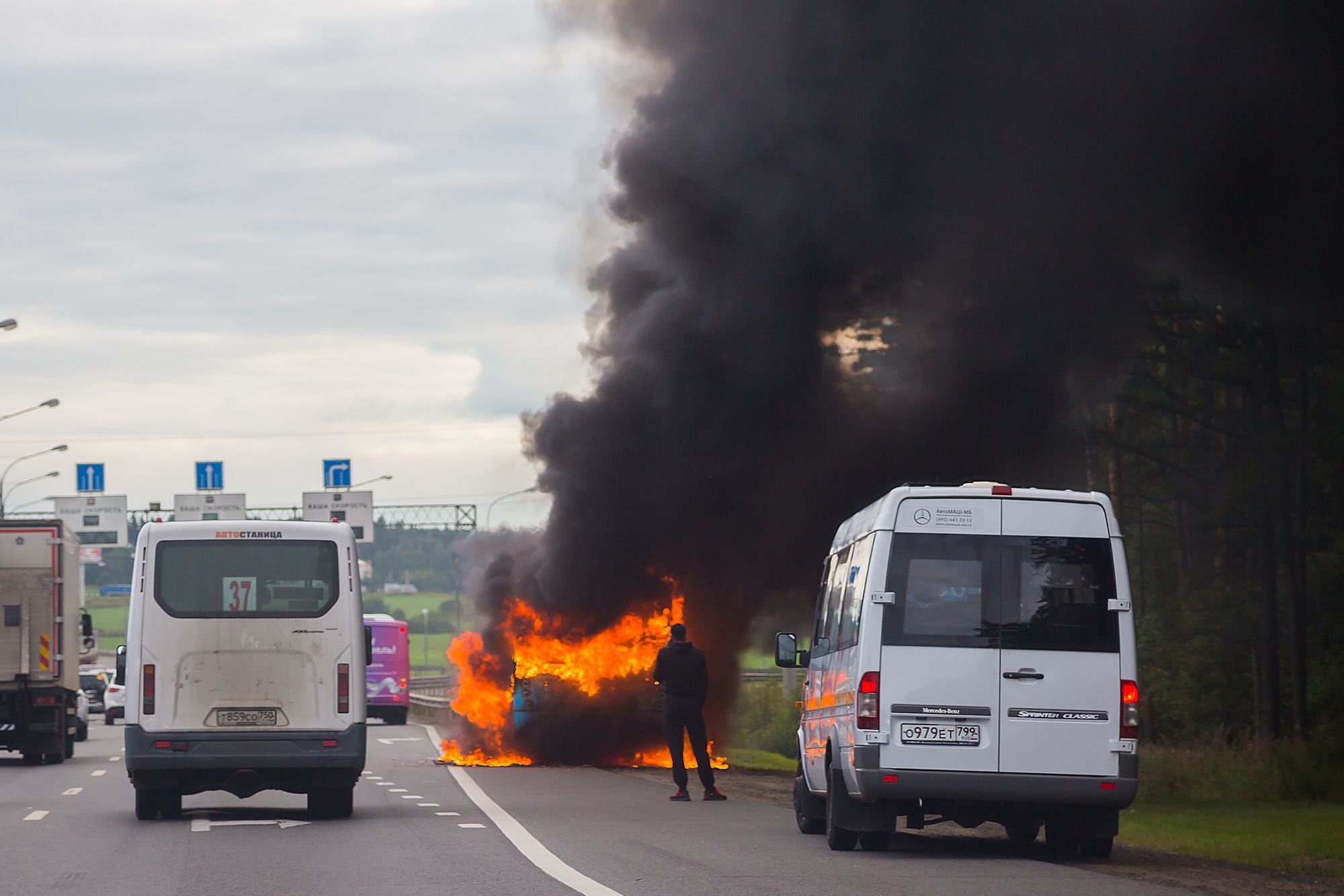 9 Tote bei Busunfall