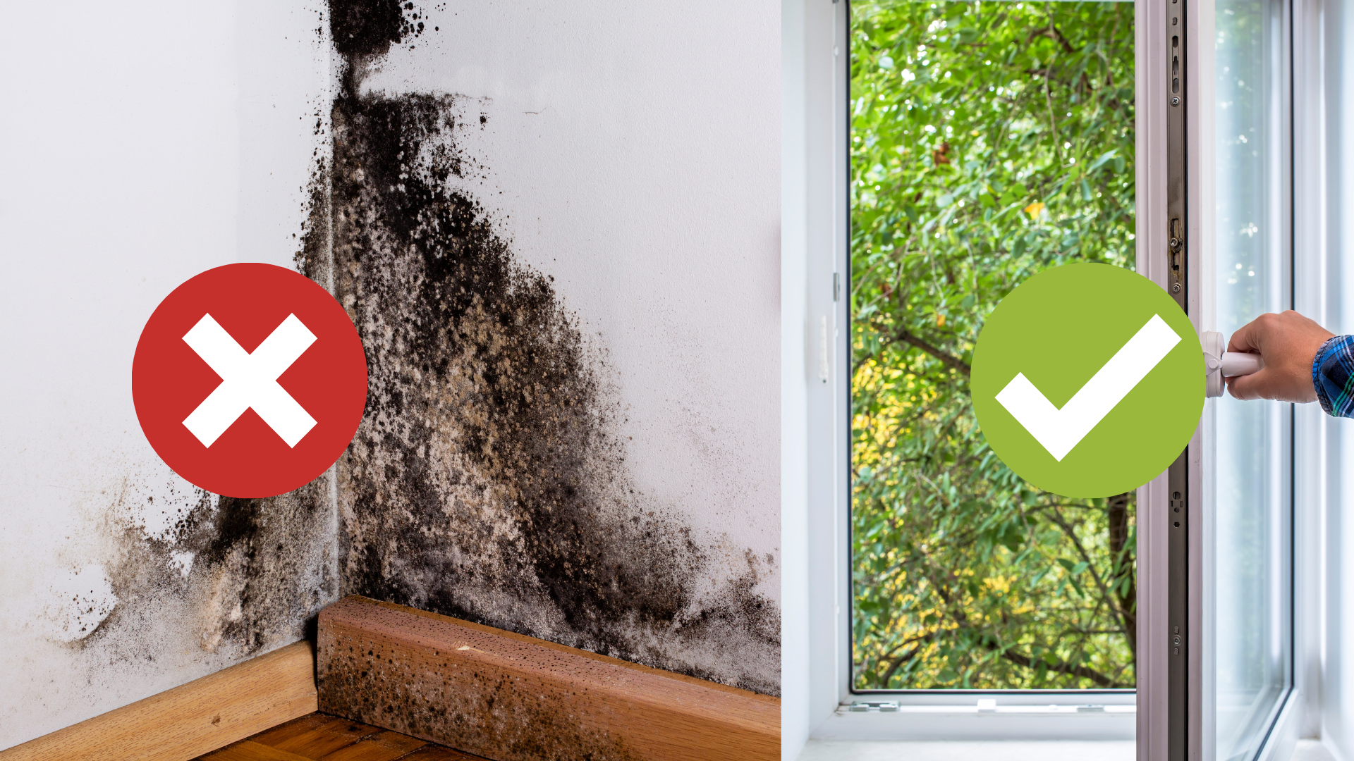 Achtung Schimmel: So lüften Sie richtig!