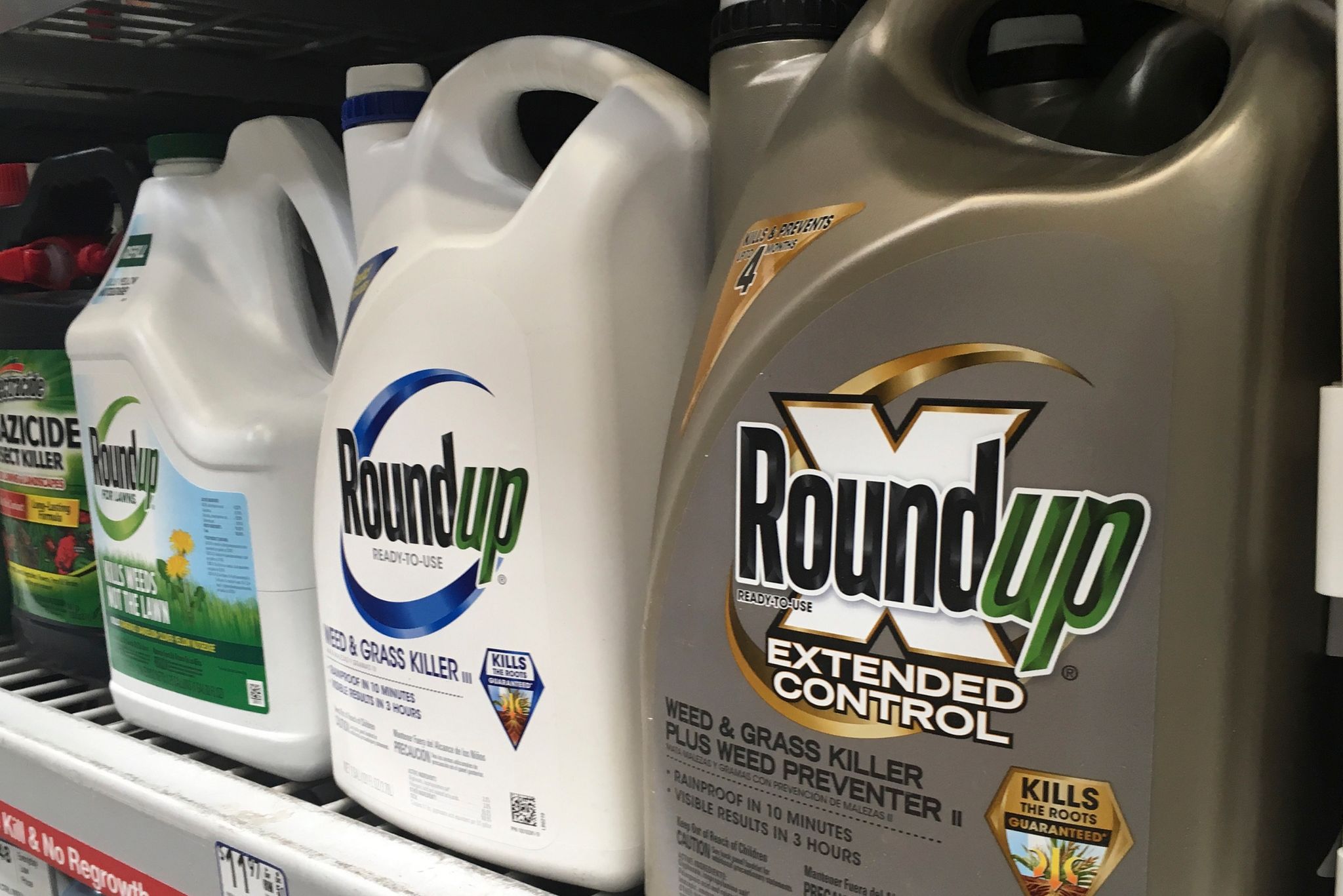 Bayer gewinnt Prozess: EPA muss Glyphosat erneut überprüfen